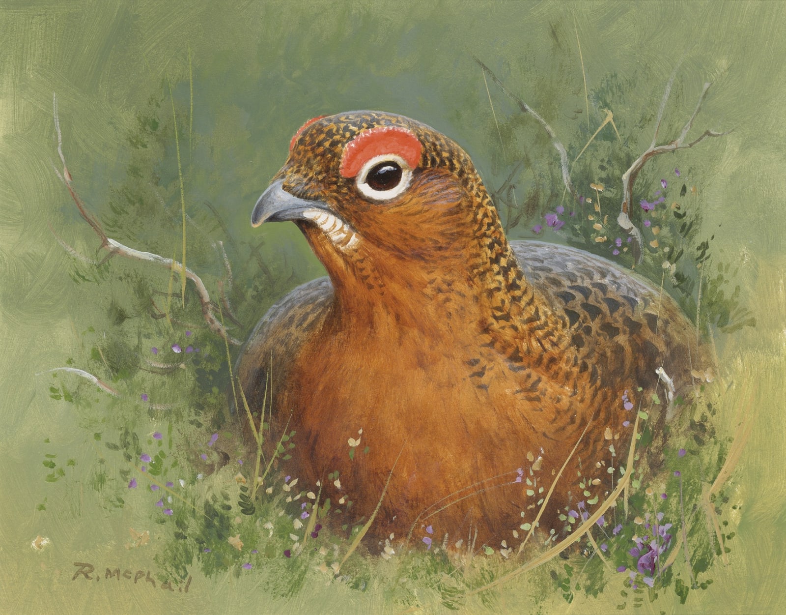 Rodger McPhail, Grouse head