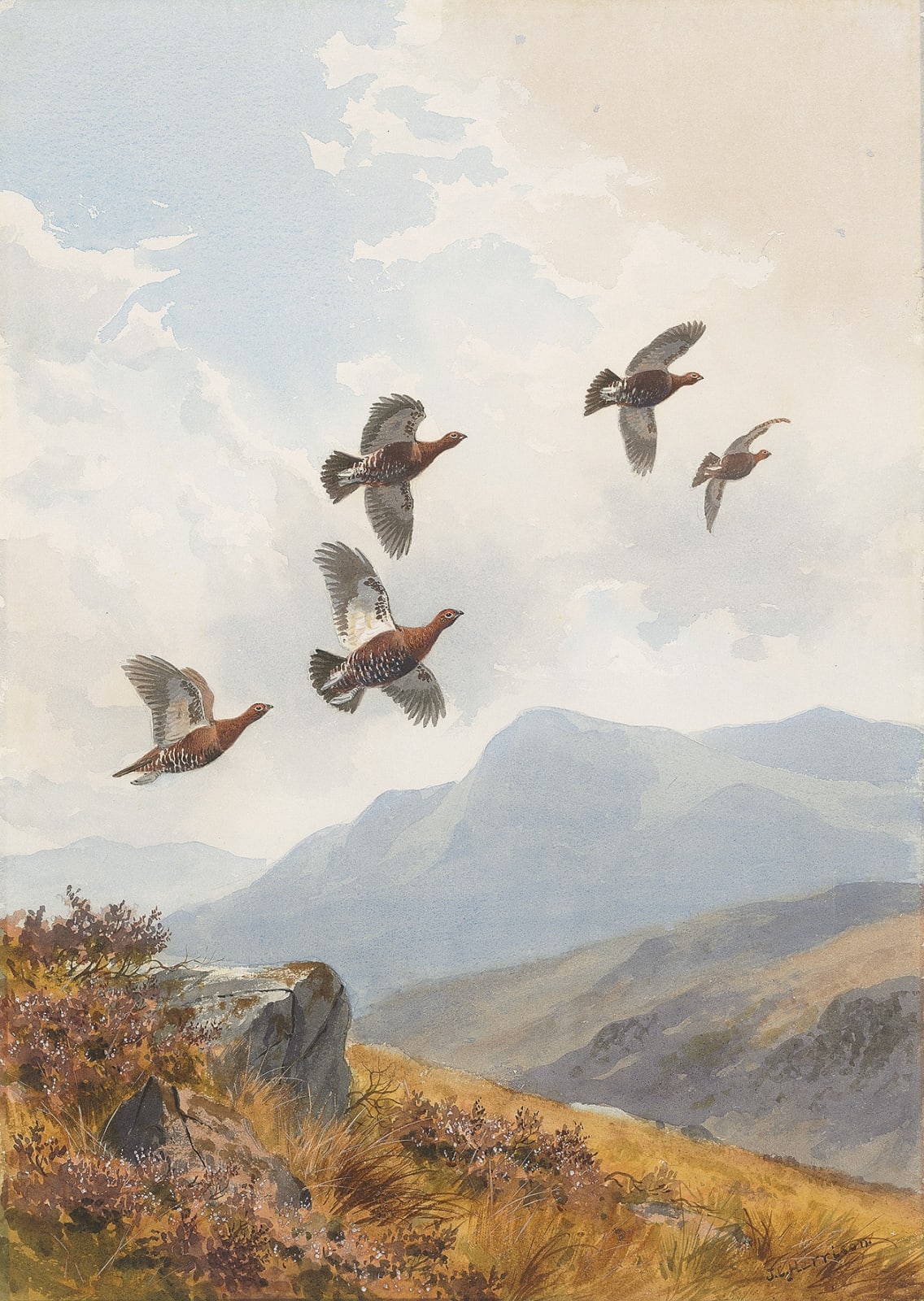John Cyril Harrison, Flushed on the hillside, Grouse