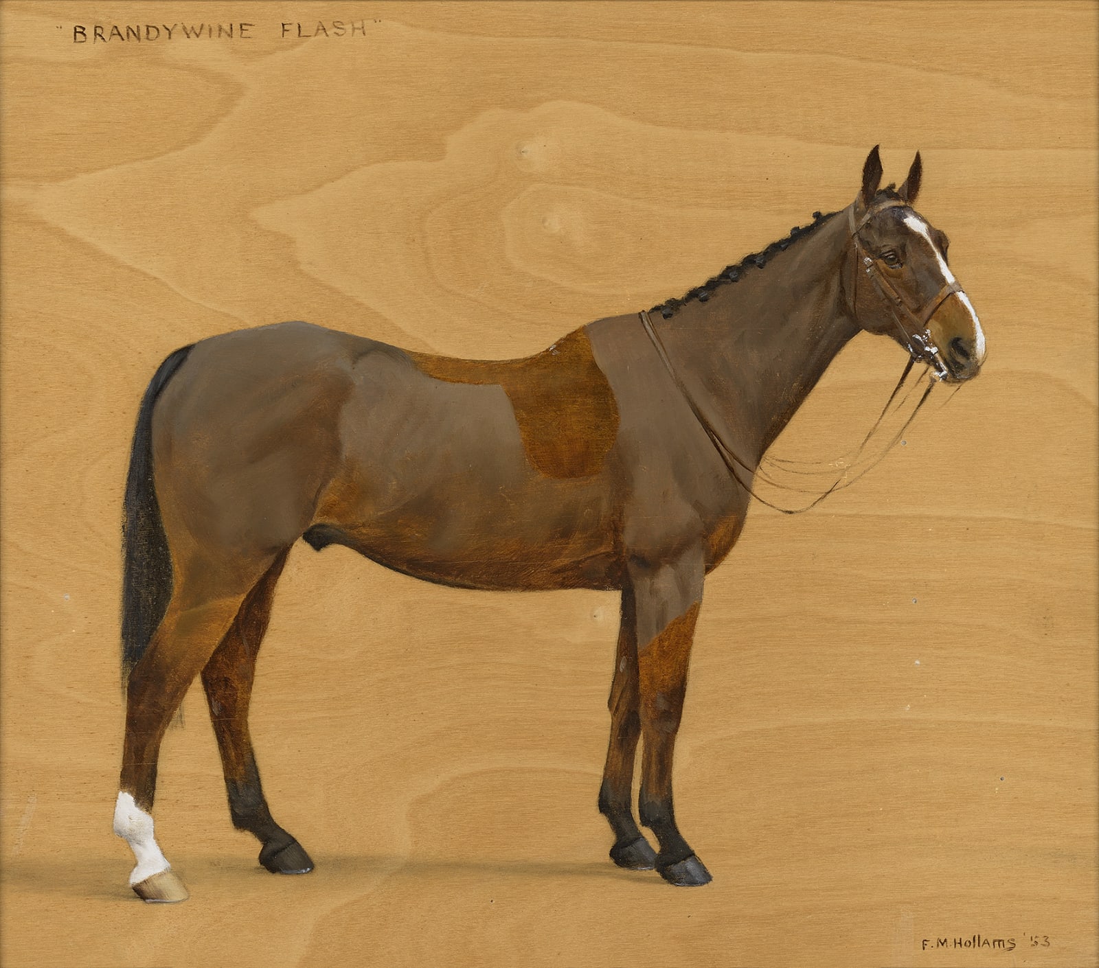 Florence Mabel Hollams, Brandywine Flash