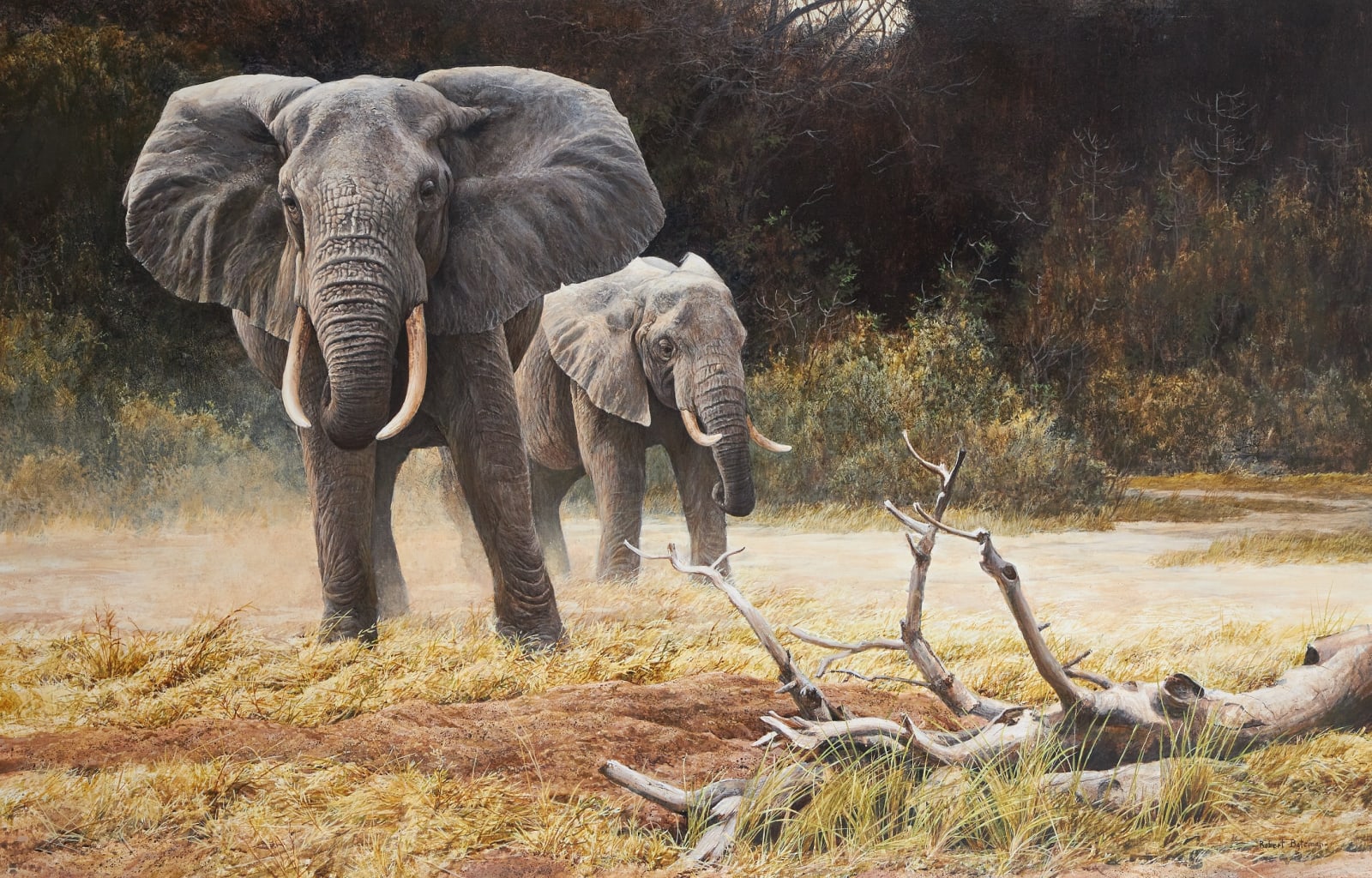 Robert Bateman, Elephant cow and calf, 1971