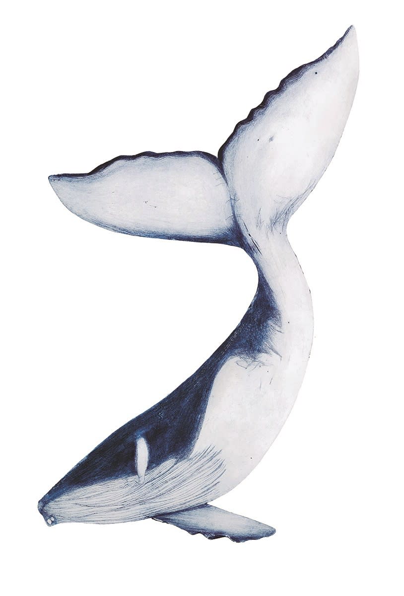 Beatrice Forshall, Humpback whale