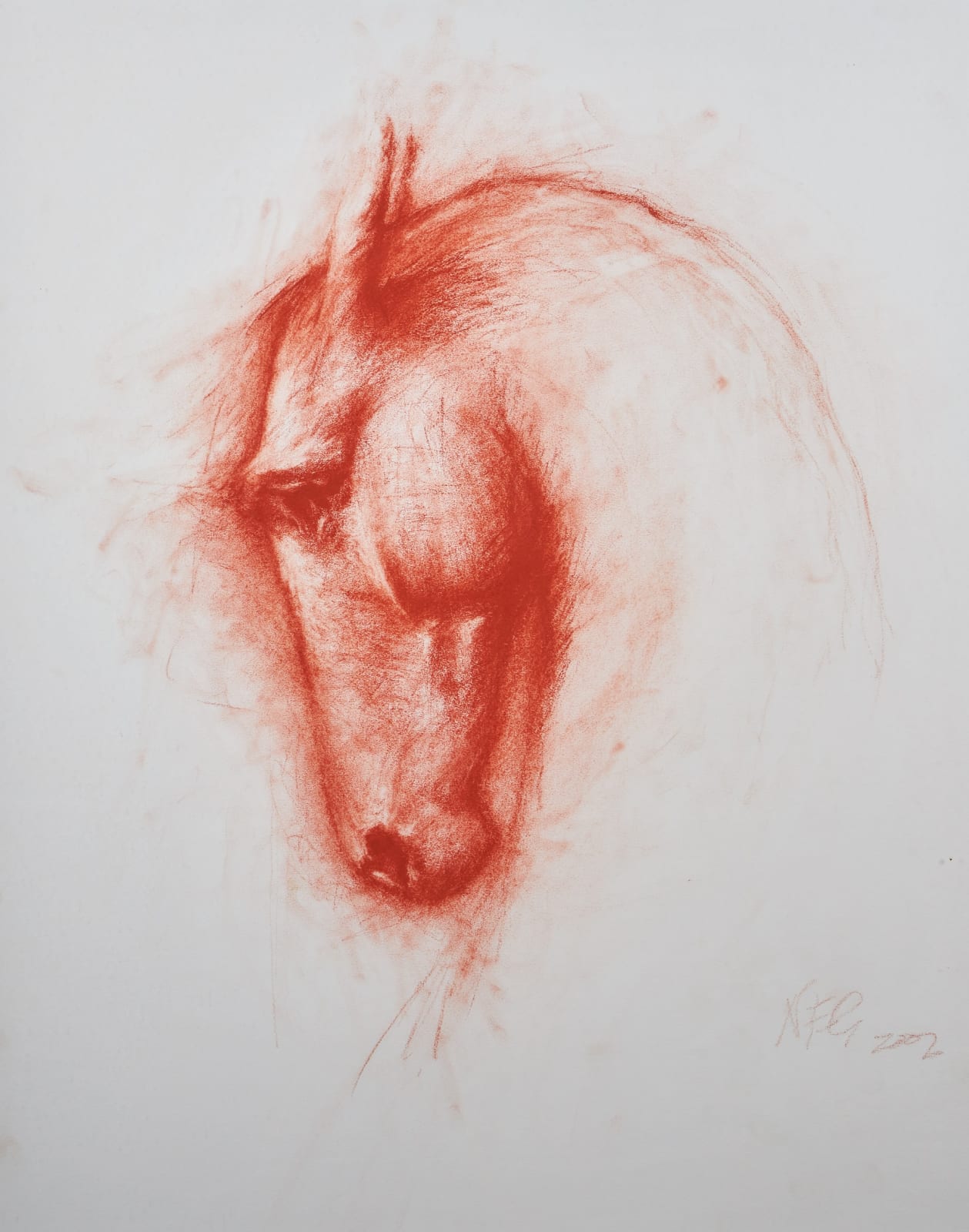 Nic Fiddian-Green, Horse head