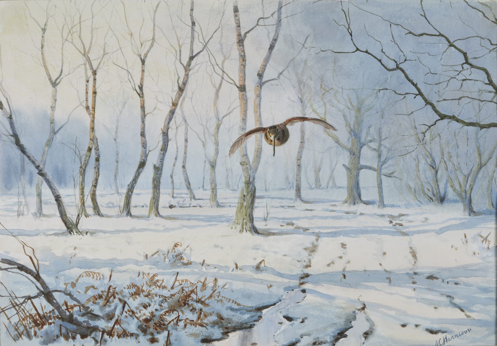 John Cyril Harrison, Woodcock over the snow
