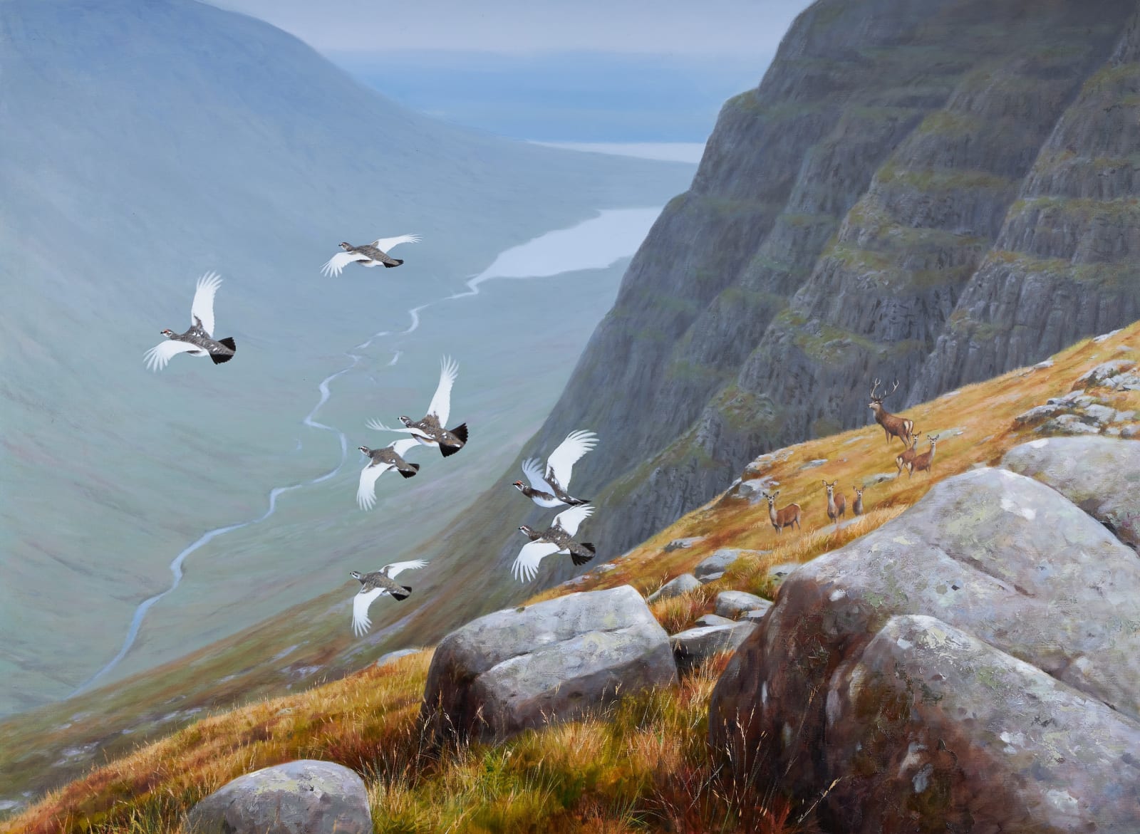 Rodger McPhail, West coast Ptarmigan