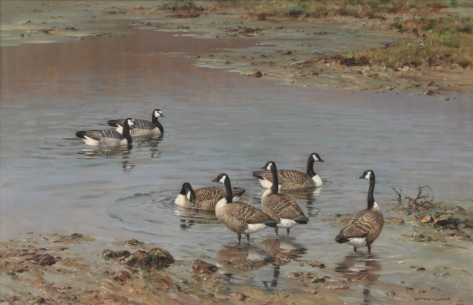 William Hollywood, Geese