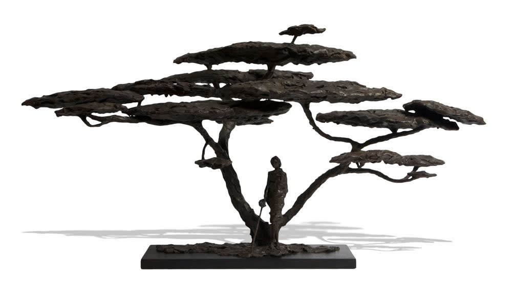 Domenica de Ferranti, Acacia tree