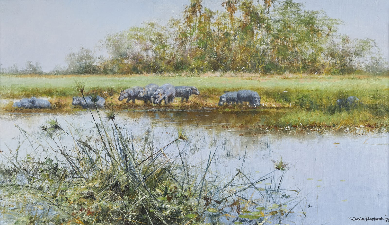David Shepherd, CBE, Lazy afternoon, Hippos