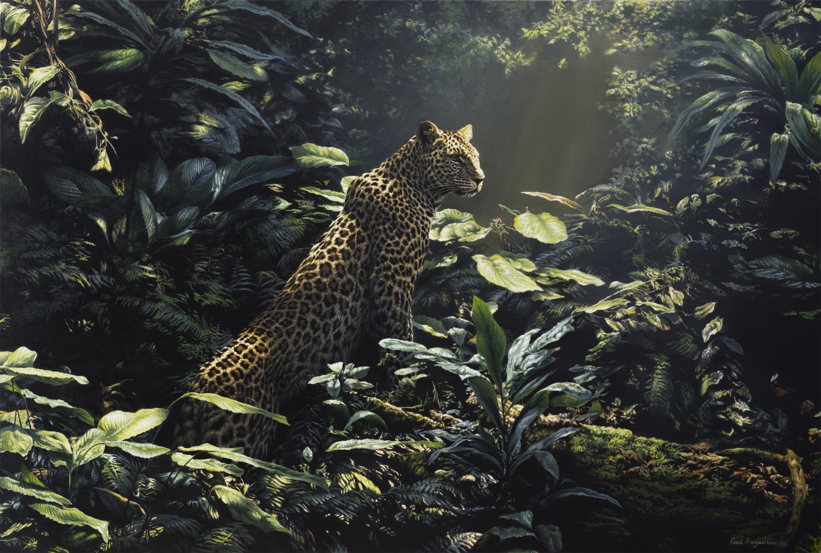 Paul Augustinus, Refugia Series: the Garden of Eden