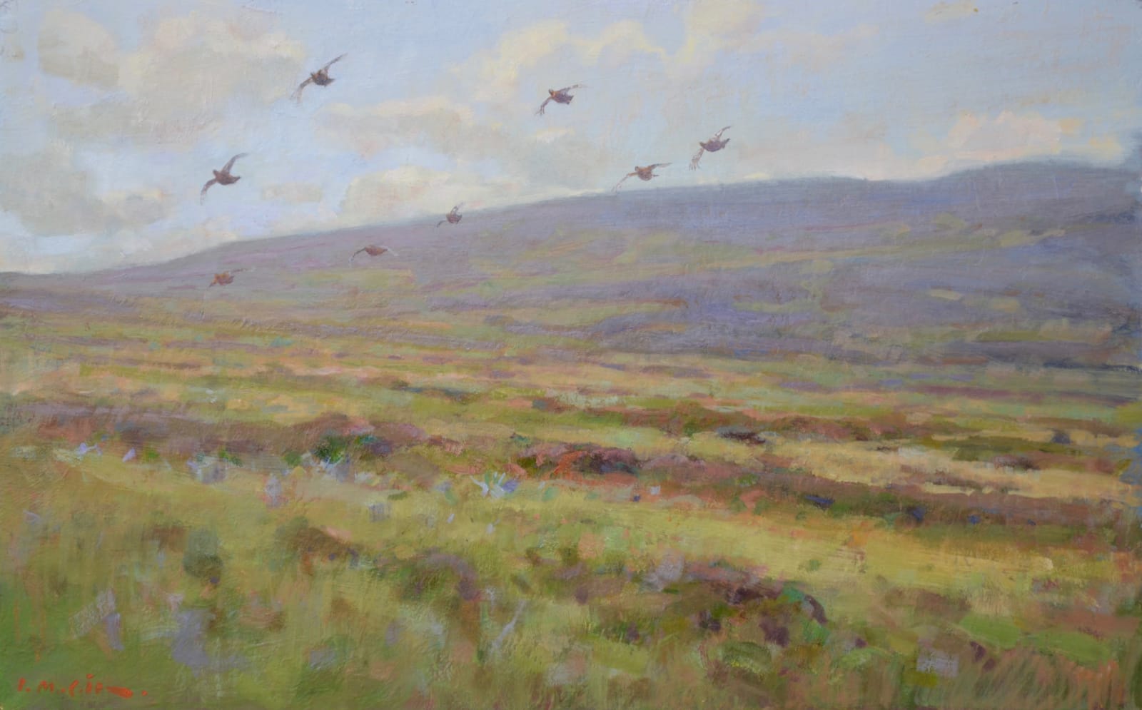 Ian MacGillivray, Grouse