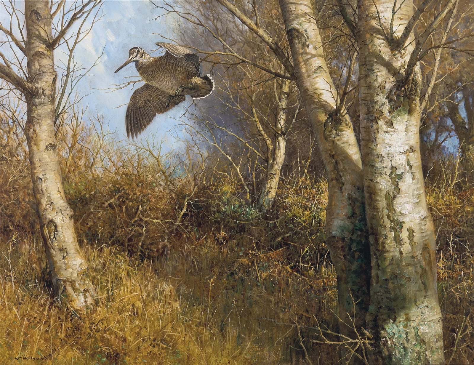 William Hollywood, Woodcock in flight