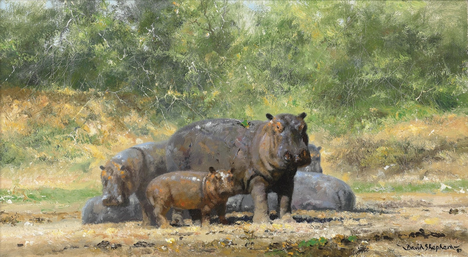 David Shepherd, CBE, Hippo