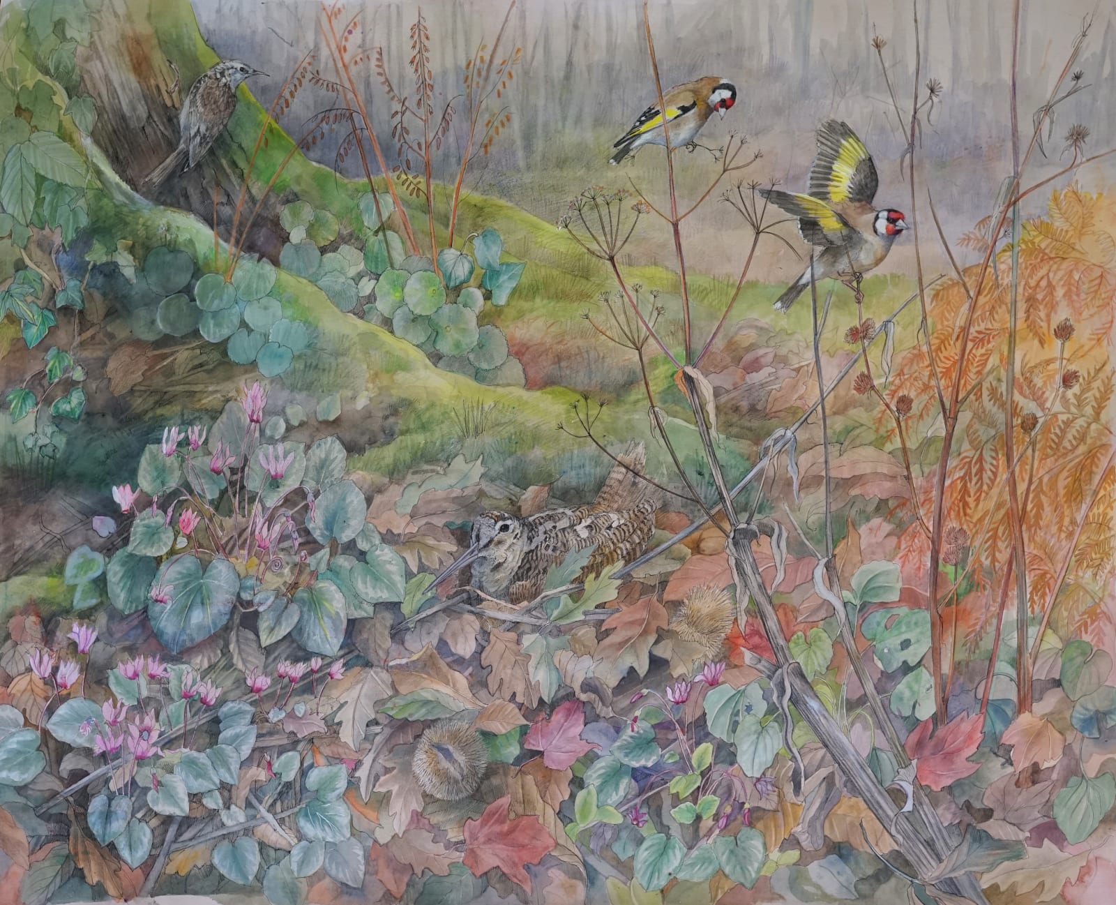 Emma Faull, Woodcock and Goldfinches
