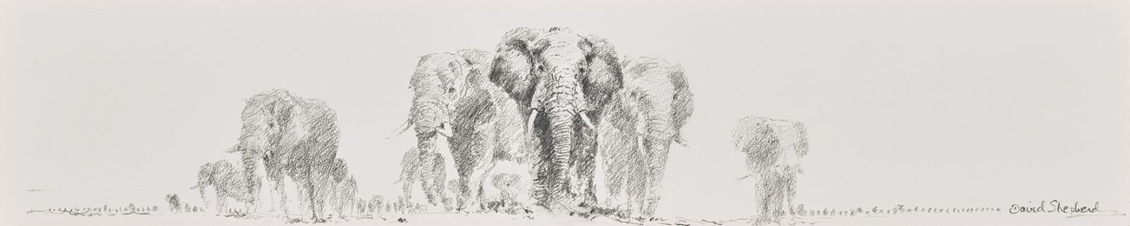 David Shepherd, CBE, Elephants