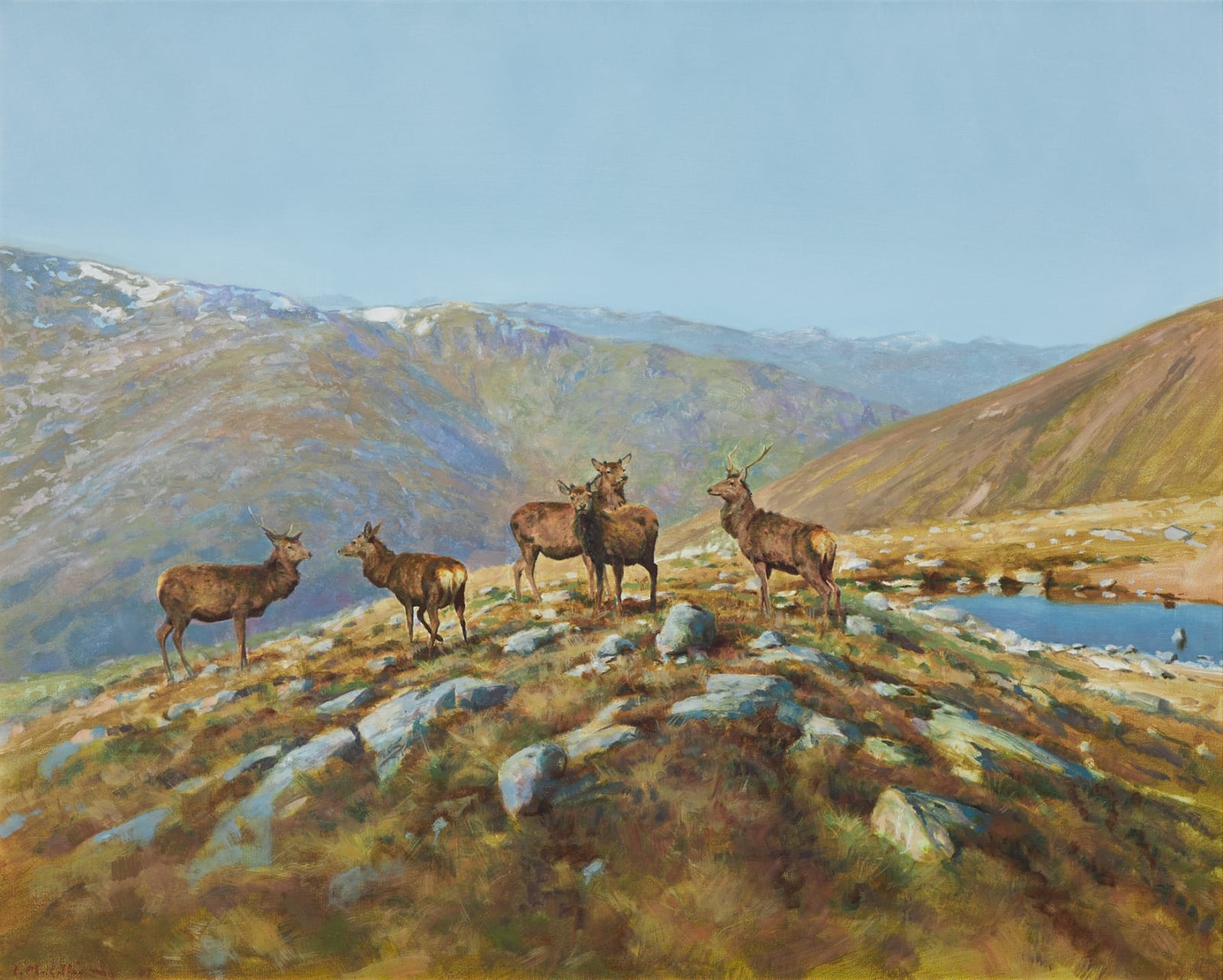 Ian MacGillivray, The seasons, Spring