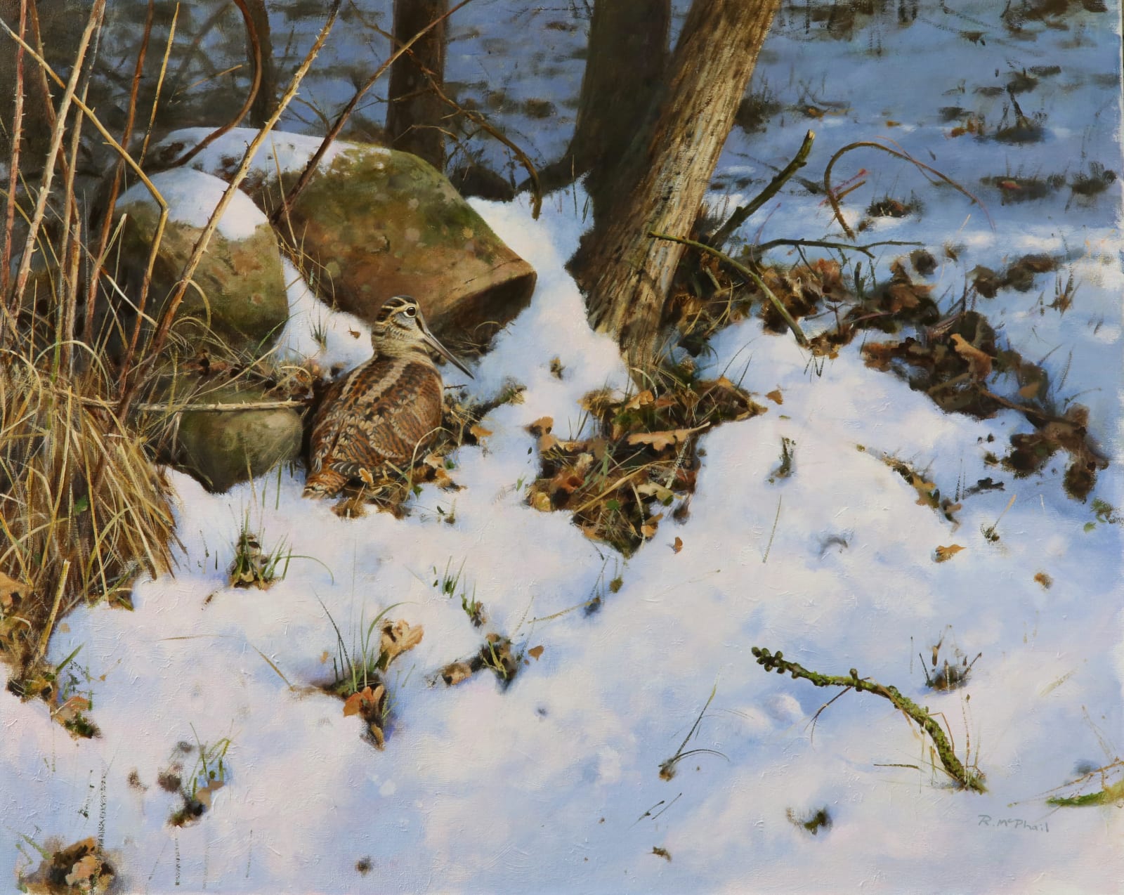 Rodger McPhail, Winter woodcock