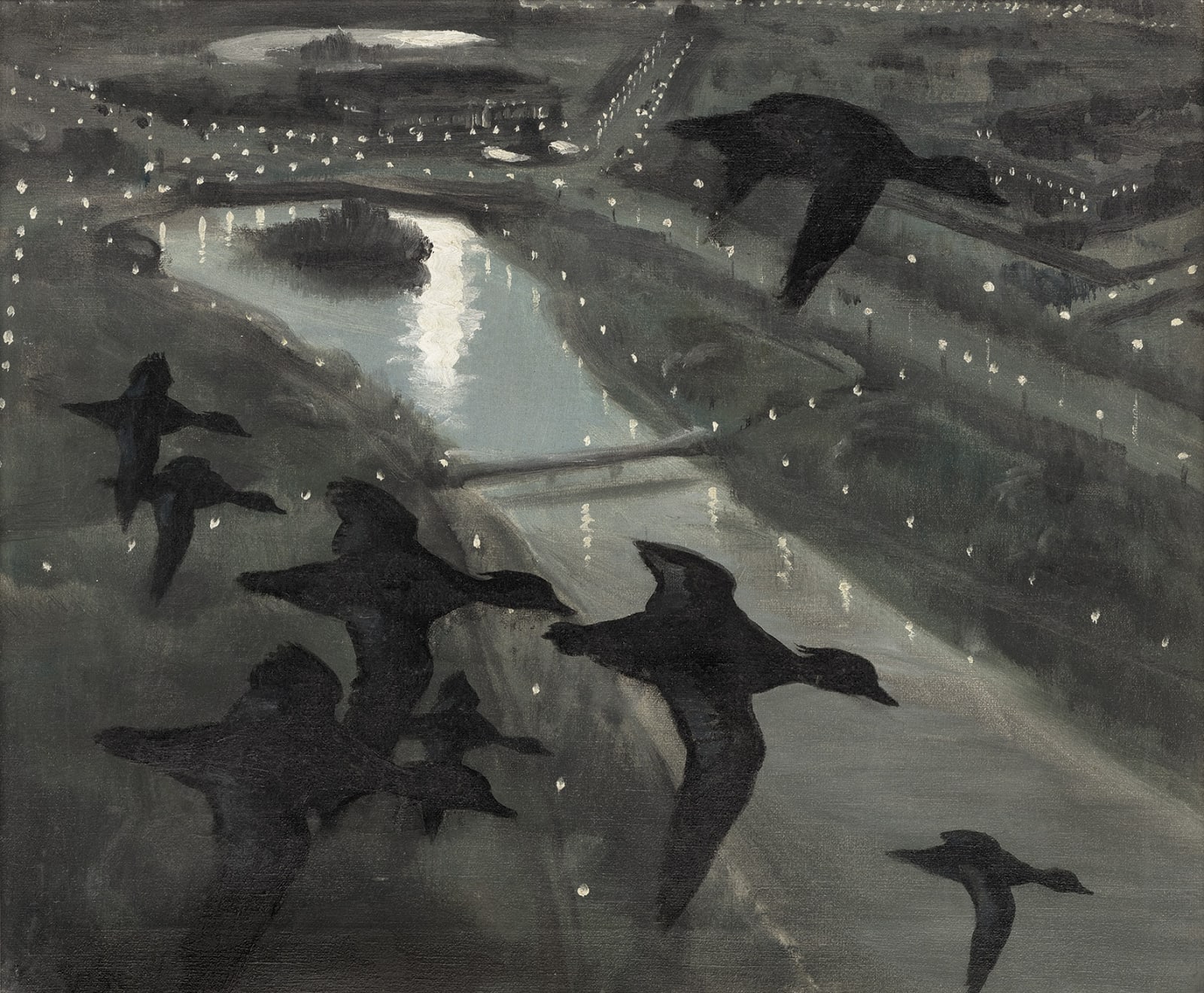 Sir Peter Markham Scott, Tufted ducks arriving at St. James's Park, 1936