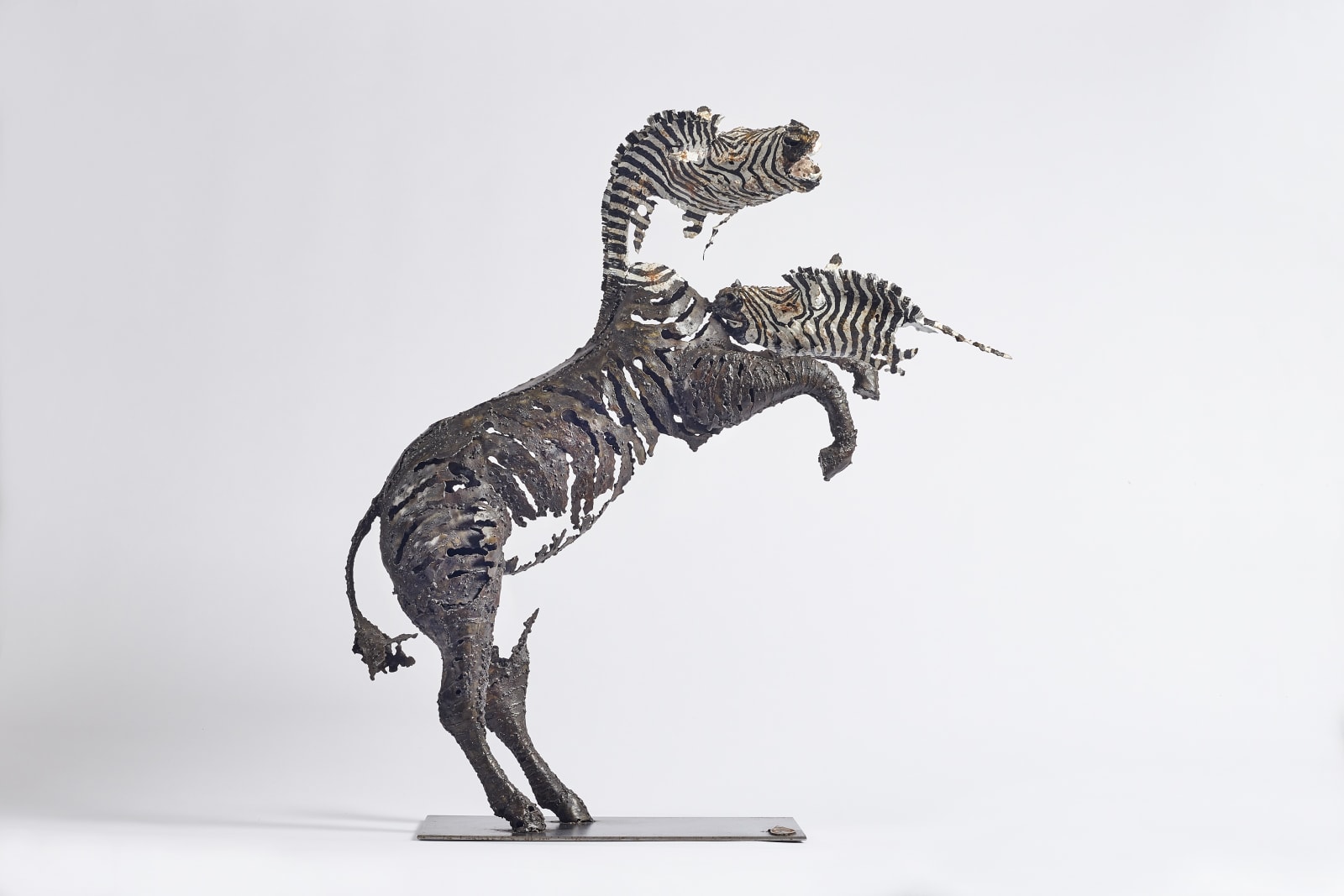 Pascal Chesneau, Zebra
