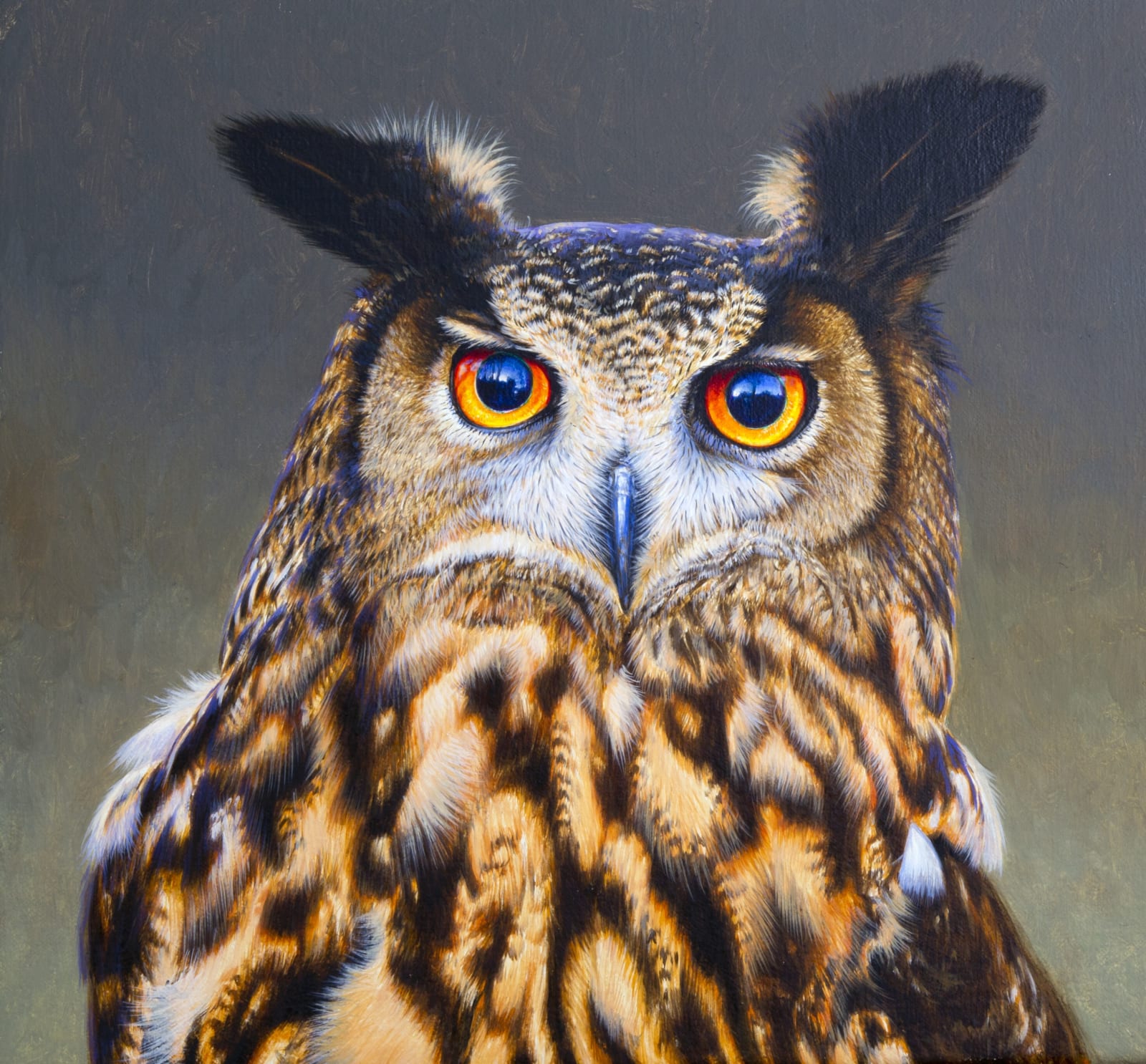 David Ord Kerr, European Eagle Owl