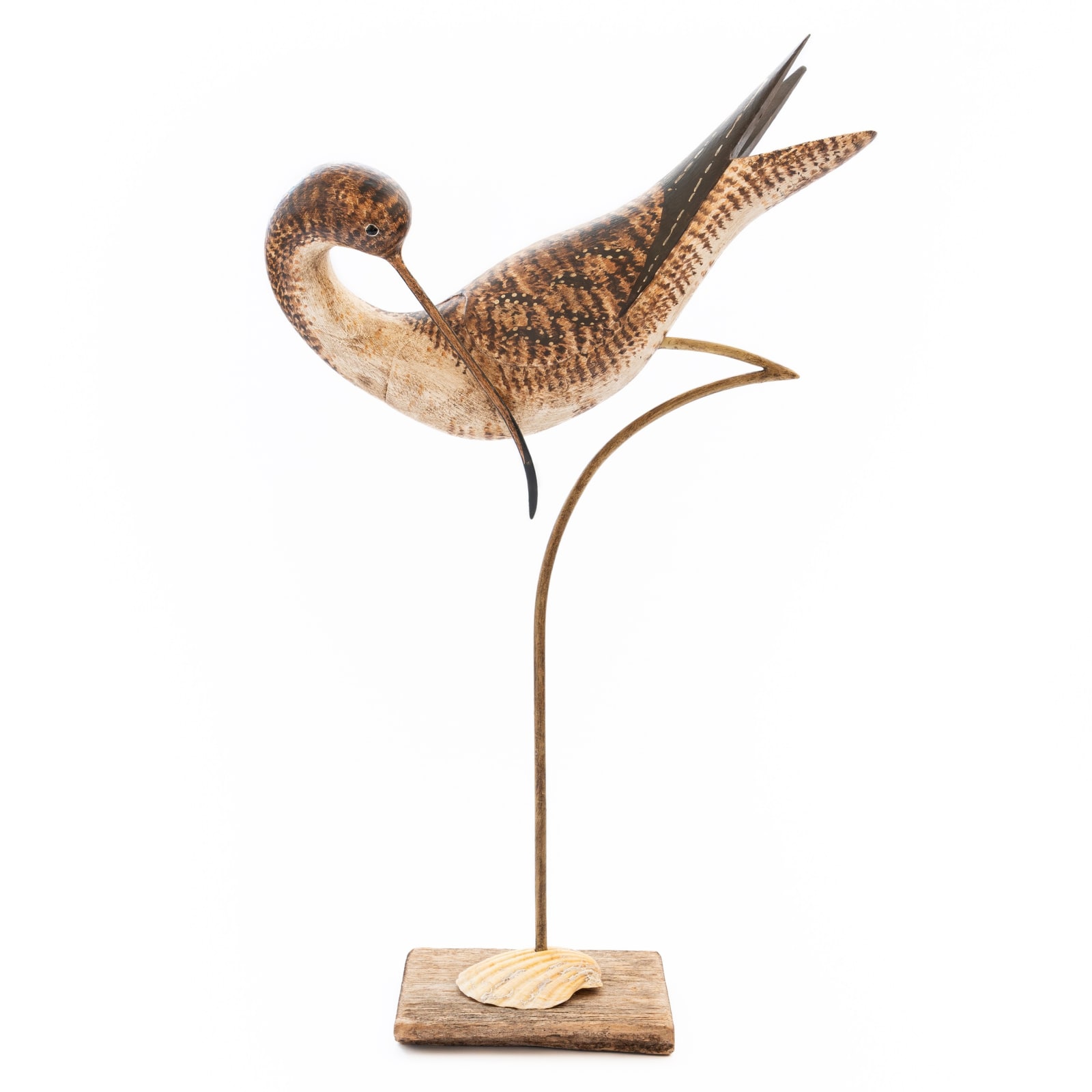 Stephen Henderson, Preening Curlew