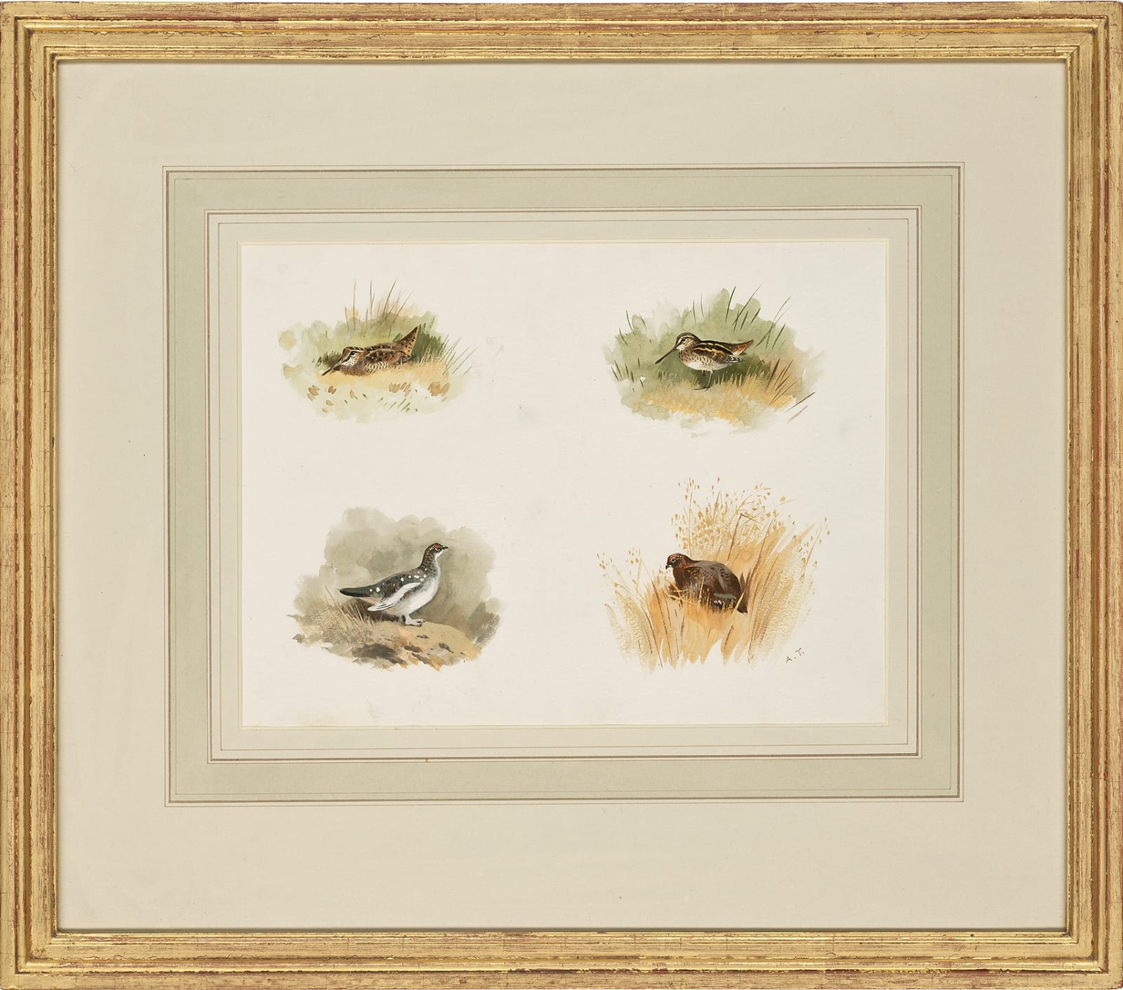 Archibald Thorburn, Studies of a Woodcock; a Snipe; a Ptarmigan and a Grouse