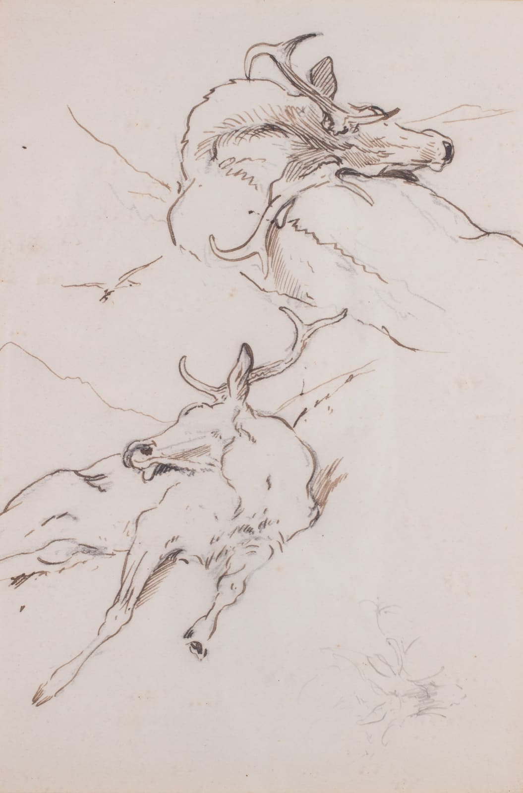 William Woodhouse, Double-sided Stalking study II