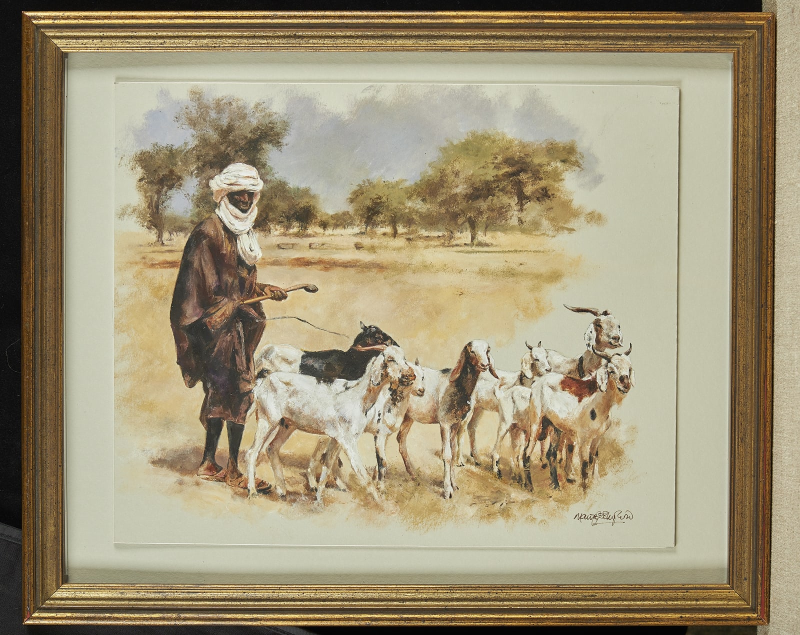 Mandy Shepherd, Goat herder, Kenya