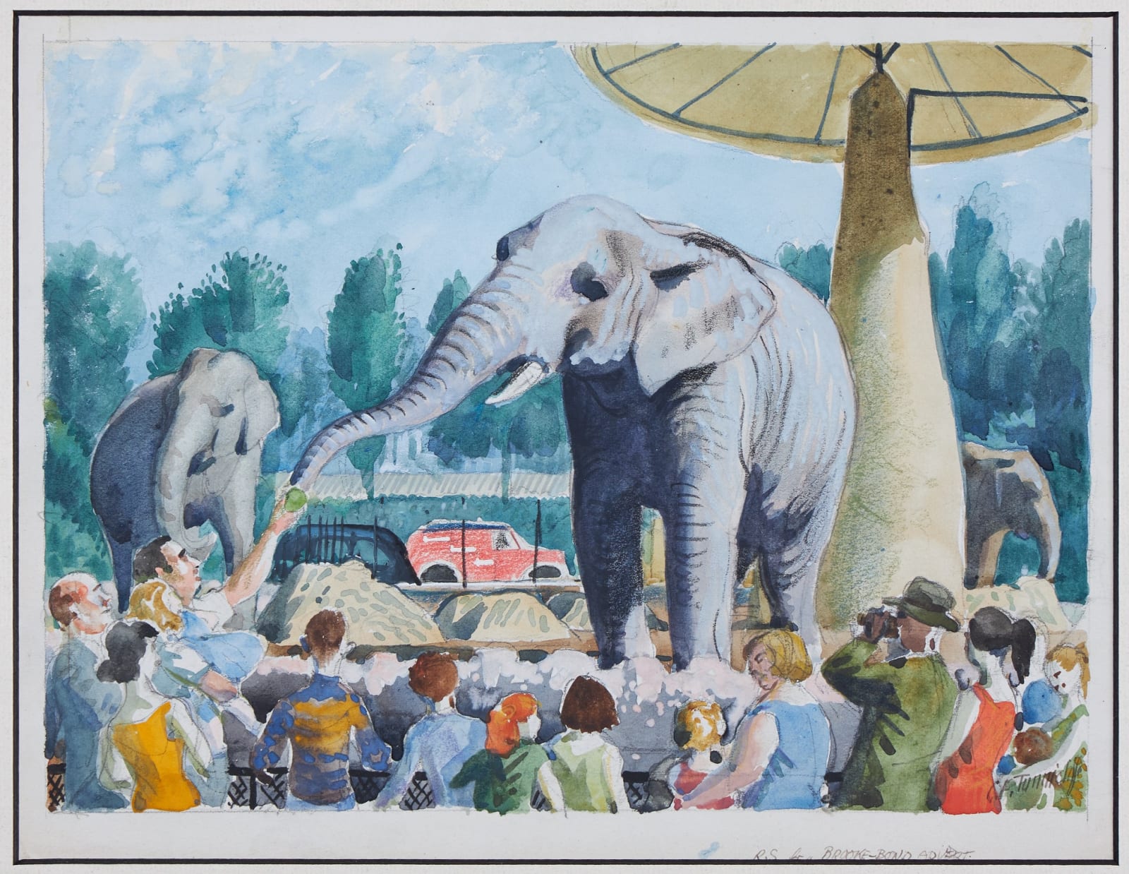 Charles Frederick Tunnicliffe, RA, Elephants at London Zoo