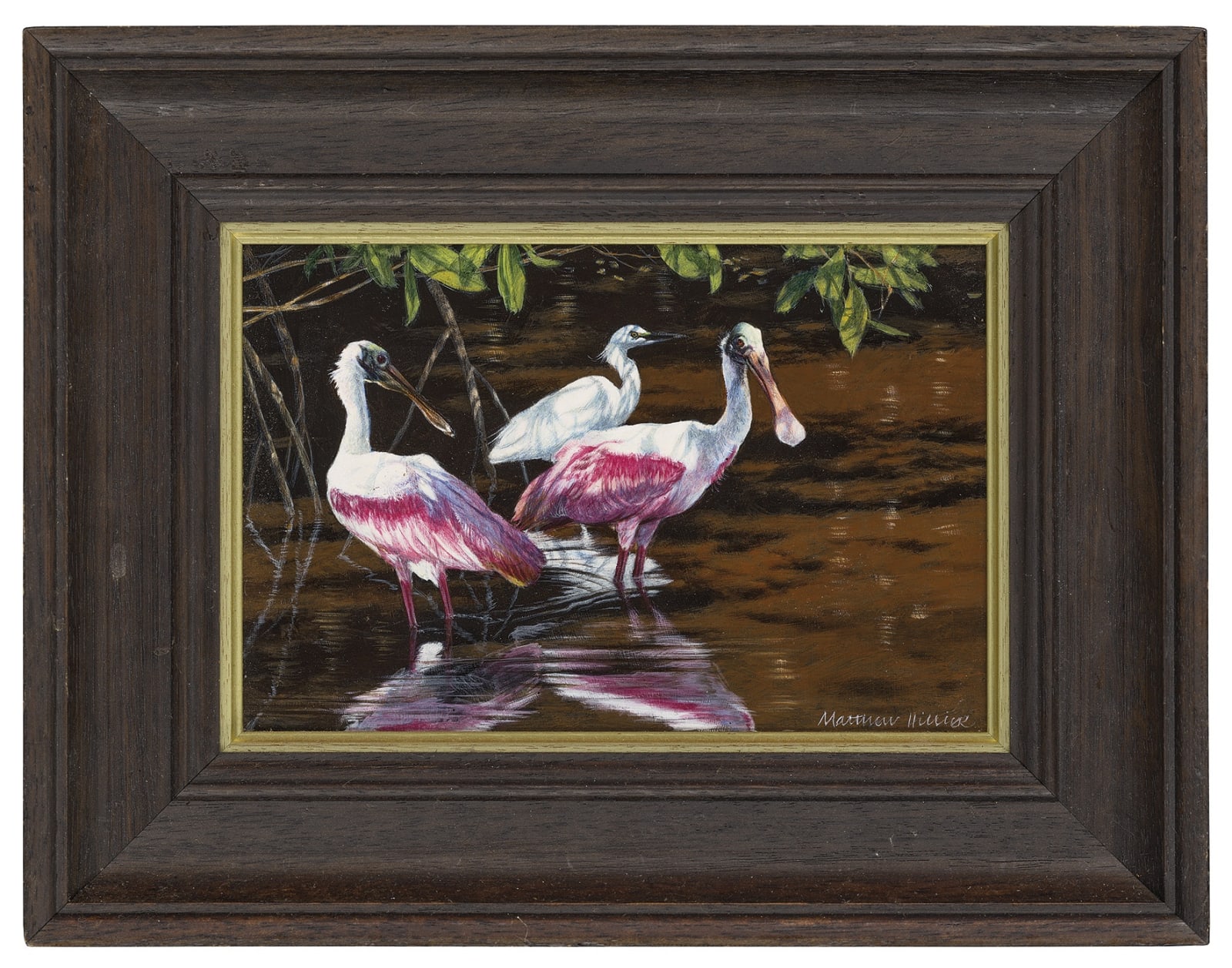 Mathew Hiller, Roseate spoonbills and snowy egret