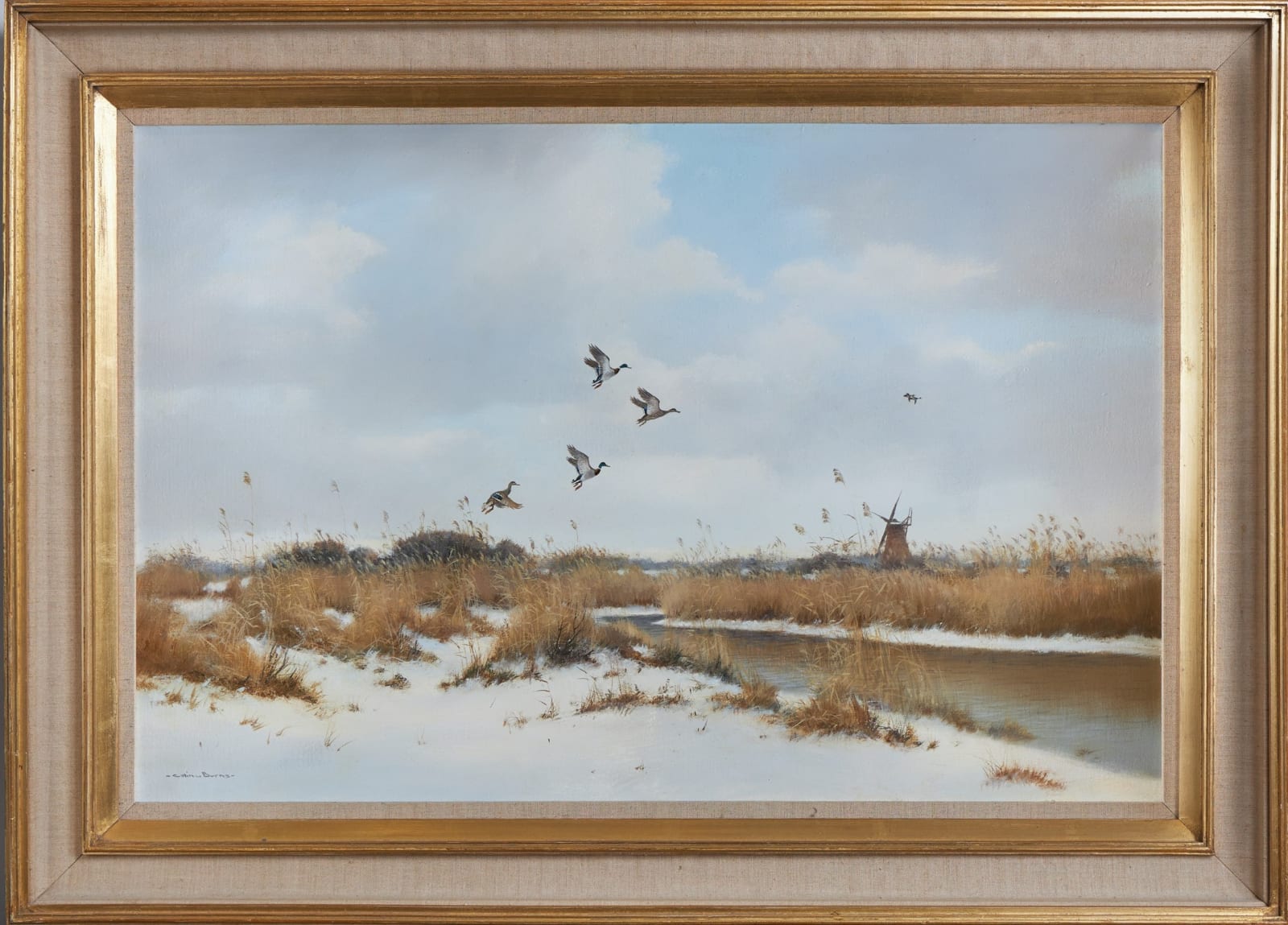 Colin W. Burns, Mallard rising from a winter dyke