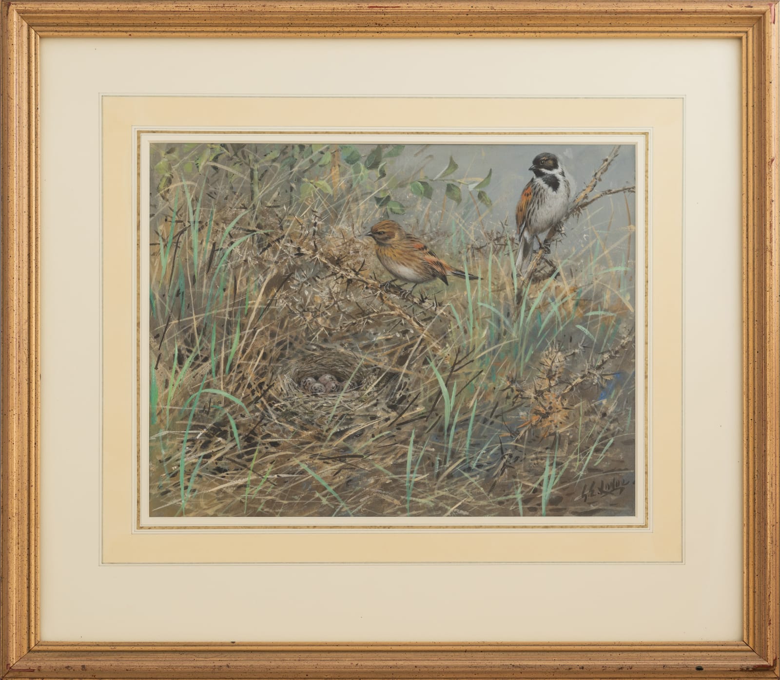 George Edward Lodge, Reed buntings nesting
