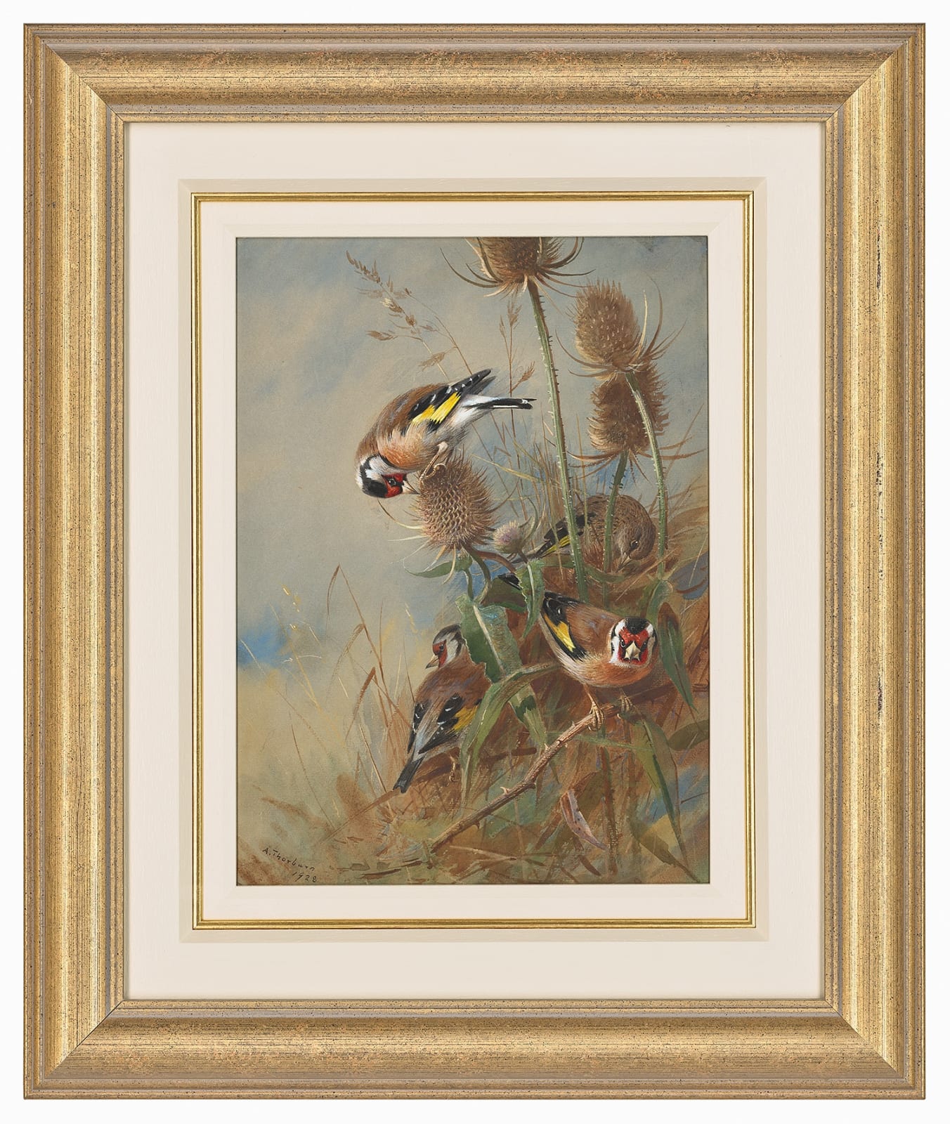 Archibald Thorburn, Goldfinches feeding