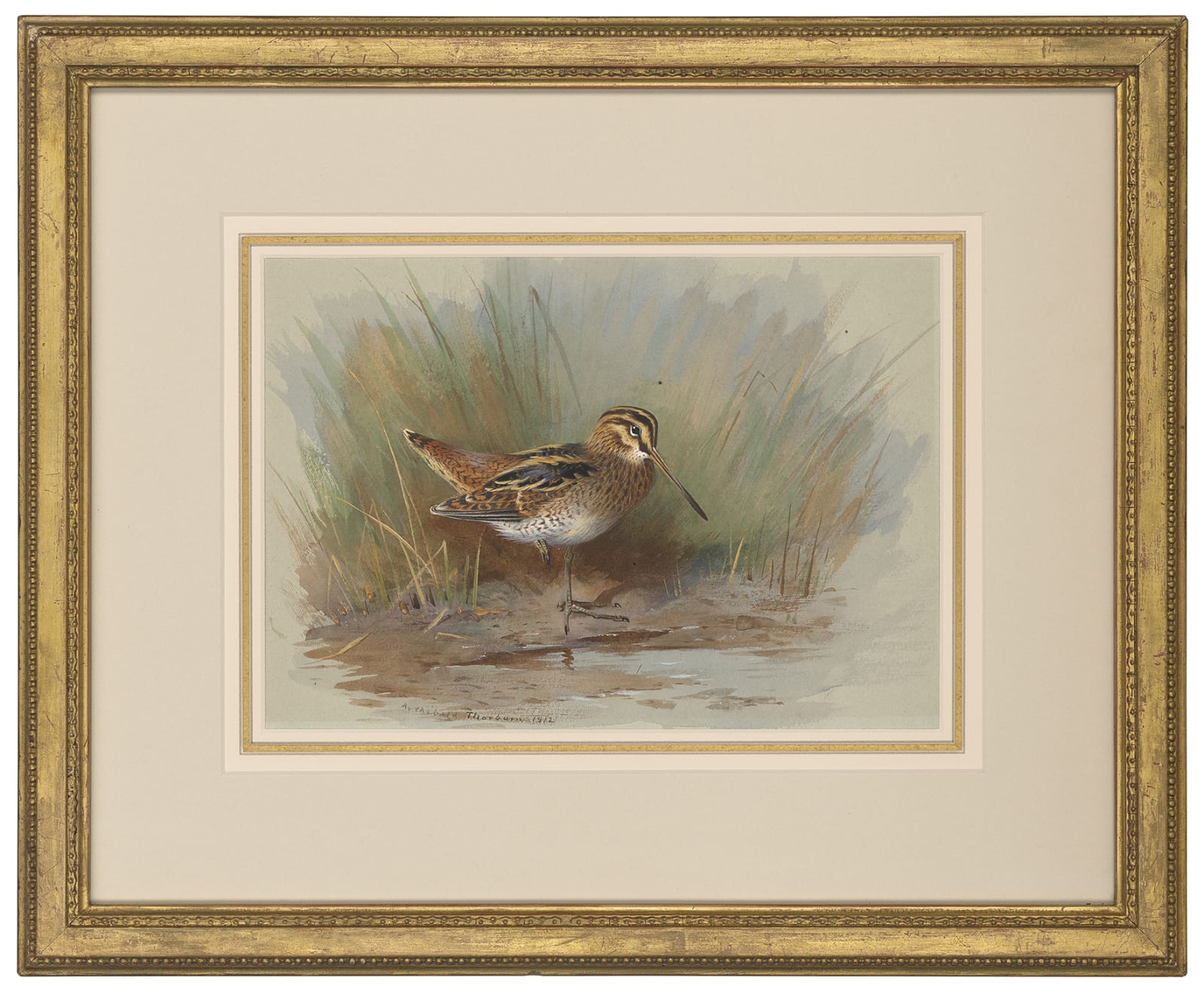 Archibald Thorburn, A snipe resting on the bank, 1912