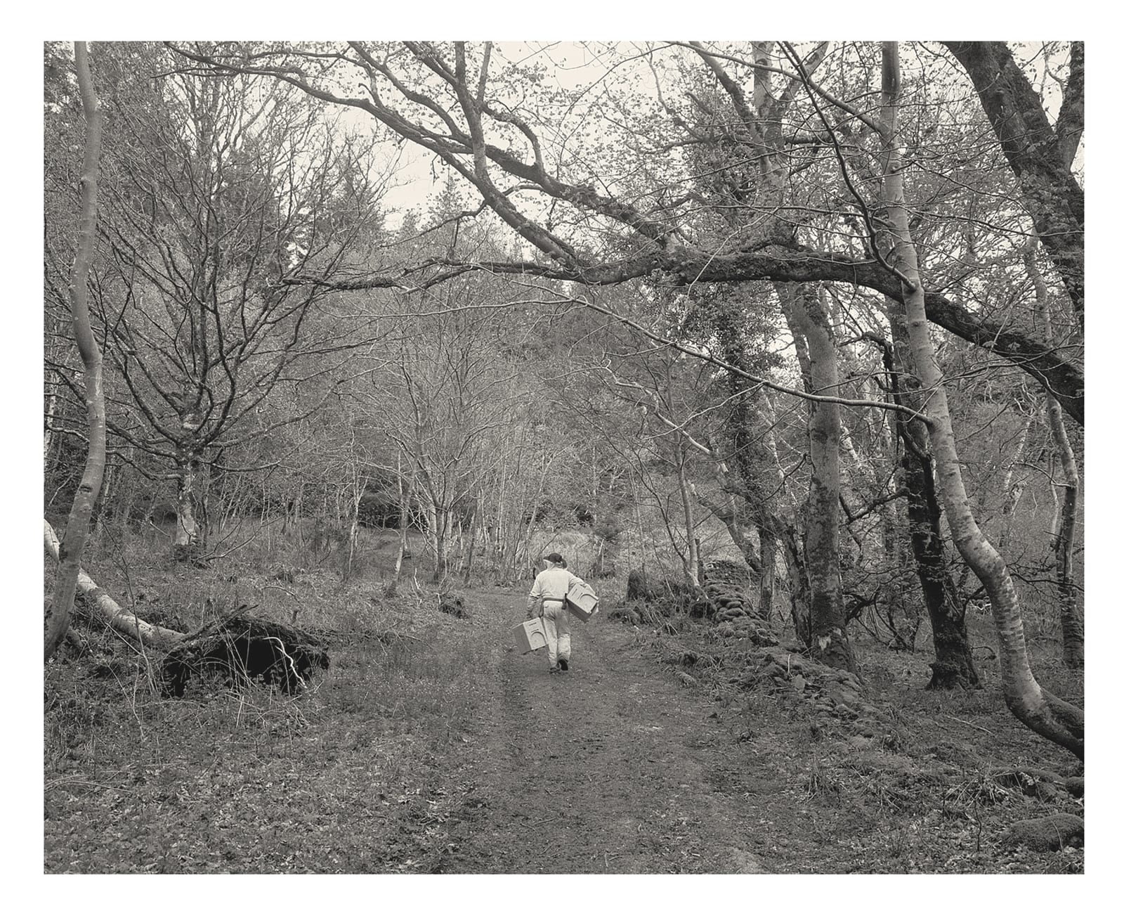 Craig Easton, Work-in-progress: Island Beekeeper 04, 2022