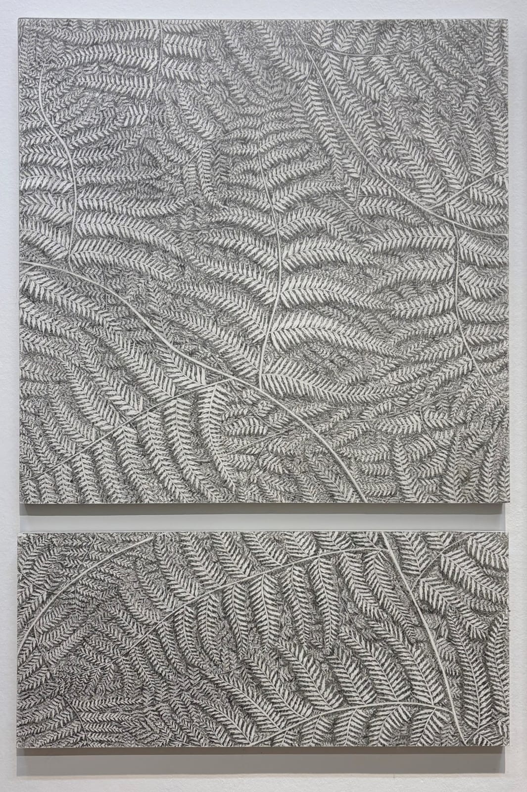 Kitty Yarrow, Pteridomania