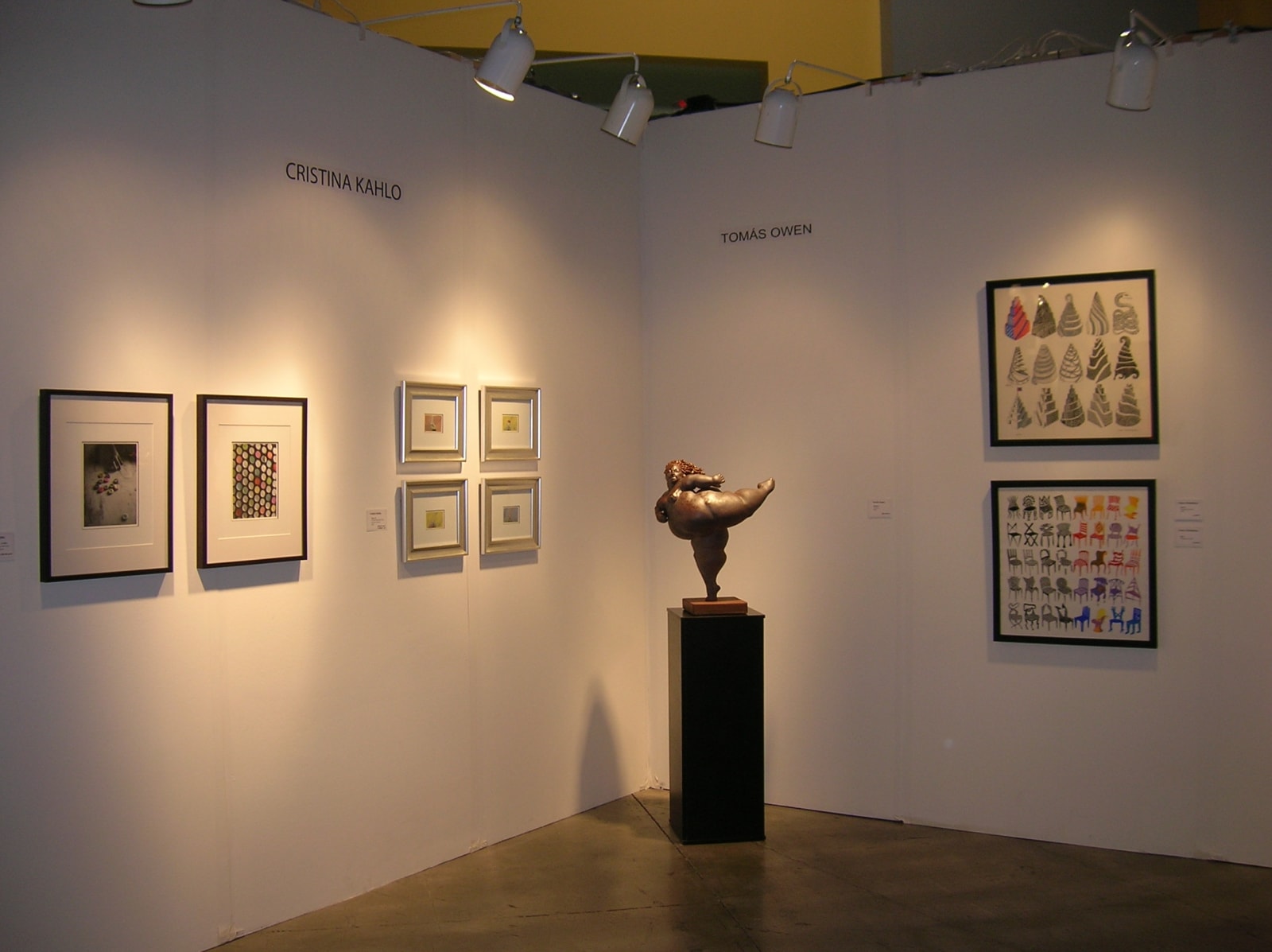 Arteamericas Art Fair 2009