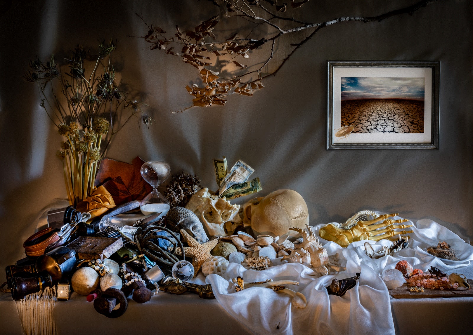 Tanya Knoop, Chapter 5: Sixth Mass Extinction, 2021