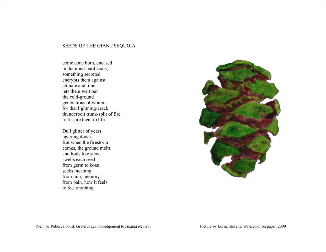 Lorna Stevens, Seeds of the Giant Sequoia (a book page from God, Seed: Poetry & Art About the Natural World, 2009