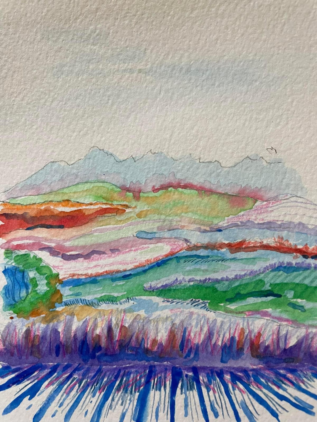 Michelle Champlin, Creating Nature, 2022