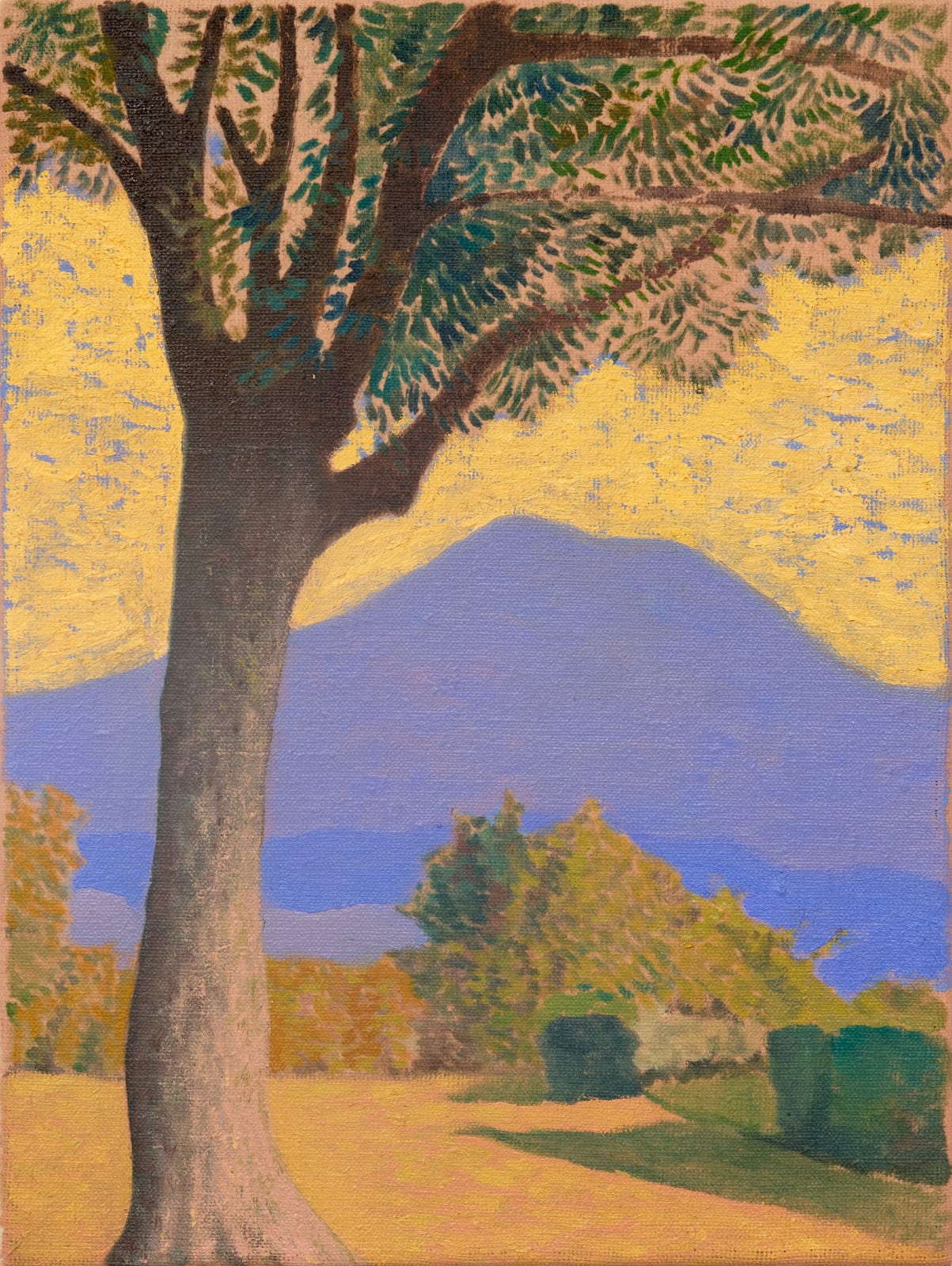 David Horvath, Another summer day, 2025