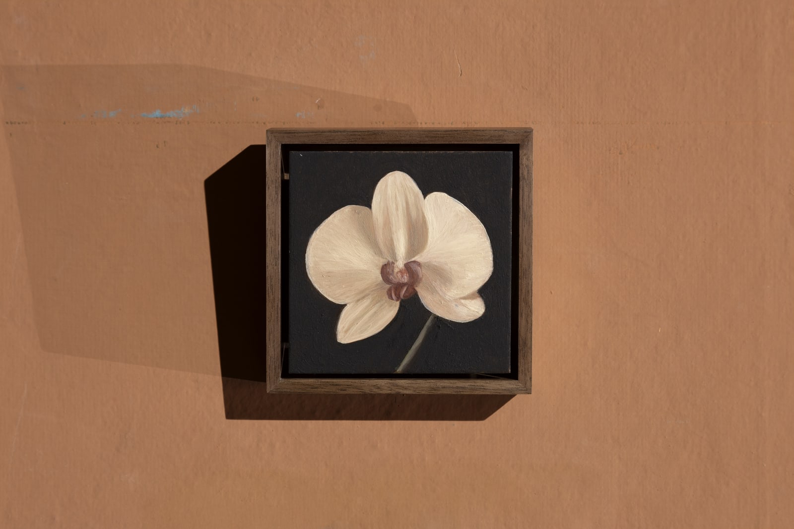 Max Xeno Karnig, Orchid, 2025