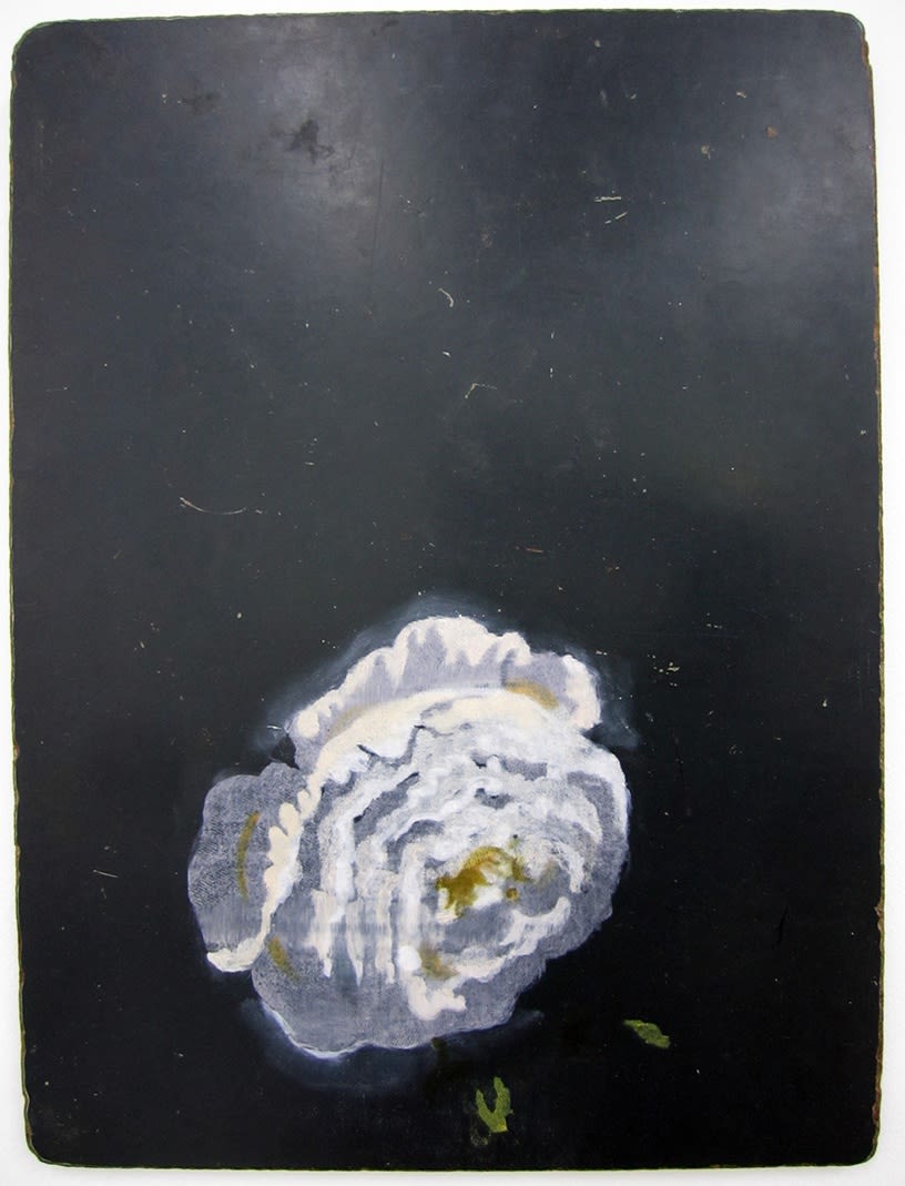 Kate Daw, White flower, 2011