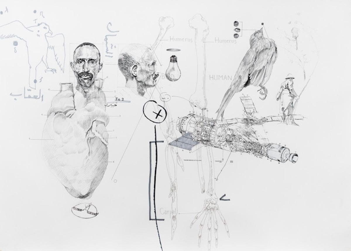 Nidhal Chamekh, Le Battement des Ailes D, 2018