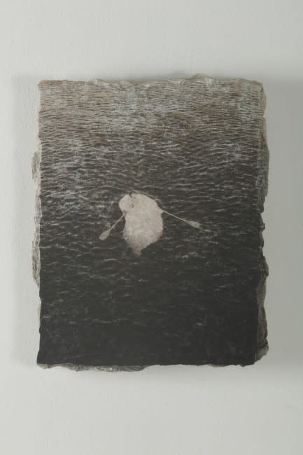 Catalina Swinburn, Oscillating Identity No. VII, 2016