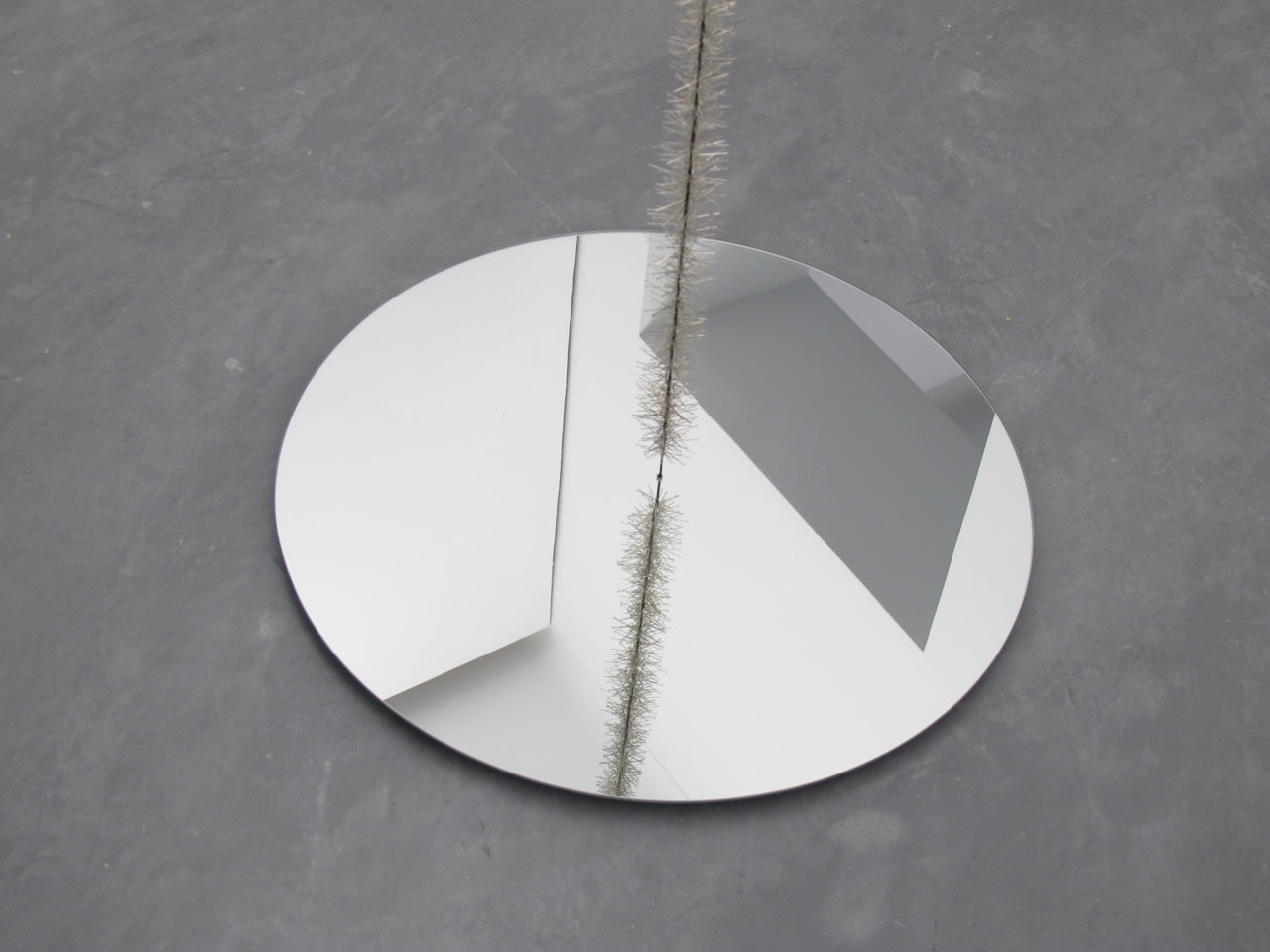 Pascal Hachem, Timeline, 2016