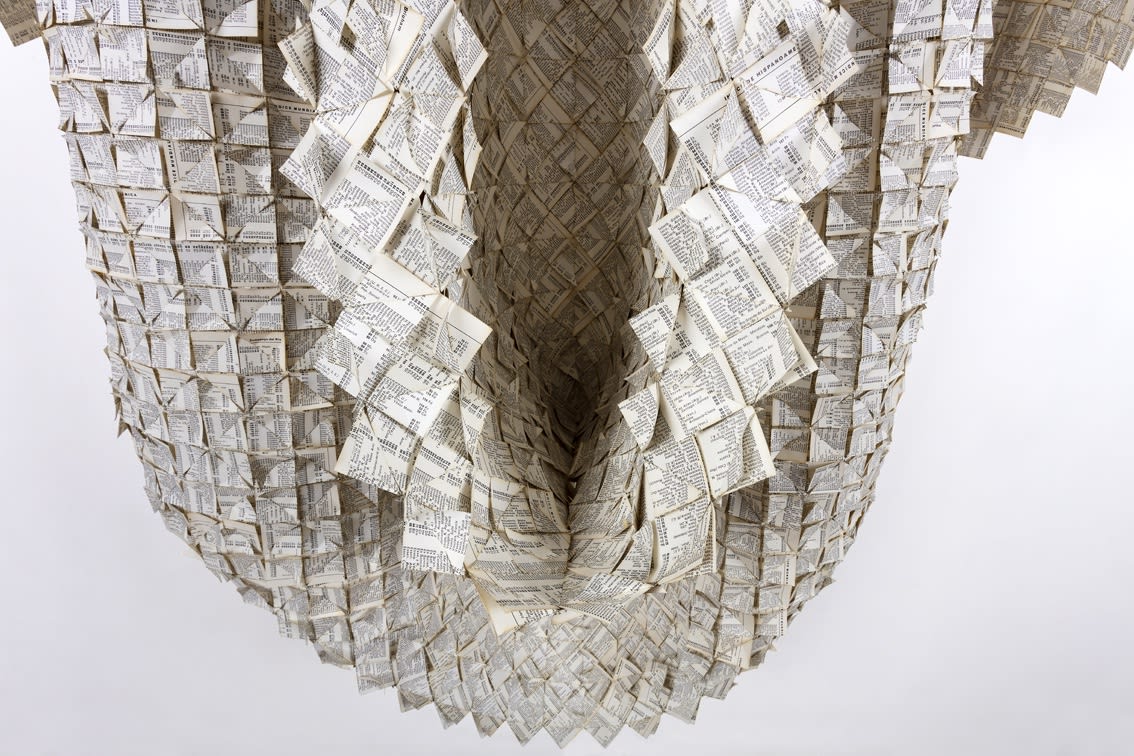 Catalina Swinburn, Index II - An Alternative Landscape, 2020