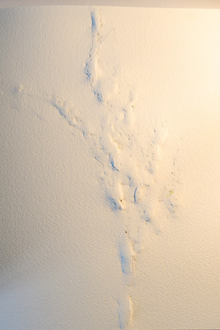 Malek Gnaoui, SC20/memory embossing 01, 2020
