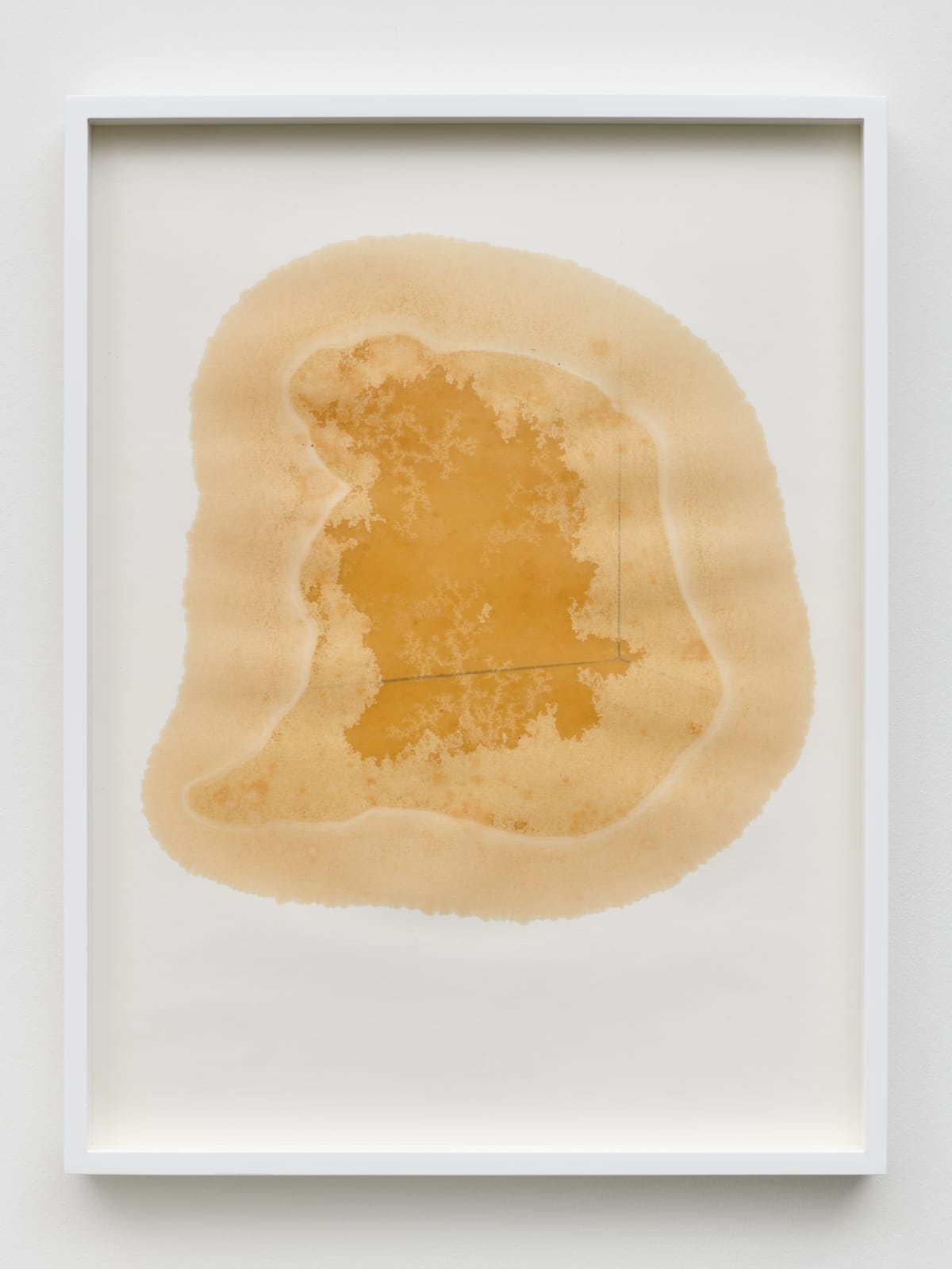 Yazid Oulab Les Orants Habités Par Leur Espace No.II, 1998 Plant oil and graphite Bristol paper 58h x 44w cm each (set of six) (YO-000006)