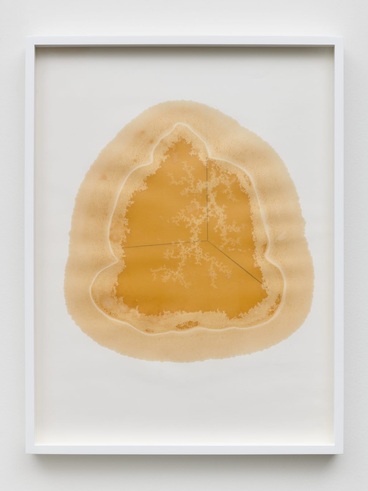 Yazid Oulab Les Orants Habités Par Leur Espace No.VI, 1998 Plant oil and graphite Bristol paper 58h x 44w cm each (set of six) (YO-000023)