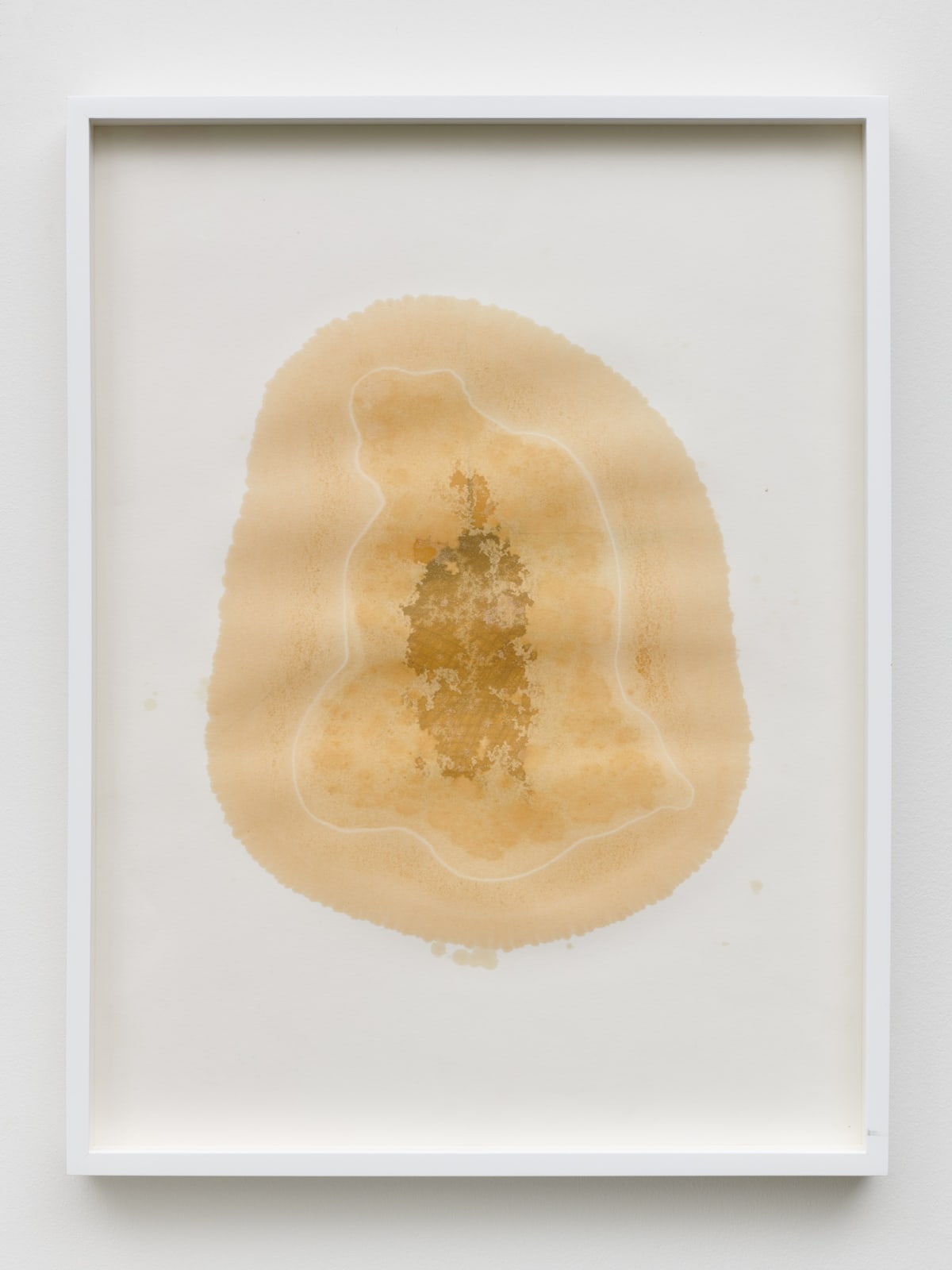 Yazid Oulab Les Orants Habités Par Leur Espace No.I, 1998 Plant oil and graphite Bristol paper 58h x 44w each (set of six) (YO-000085)