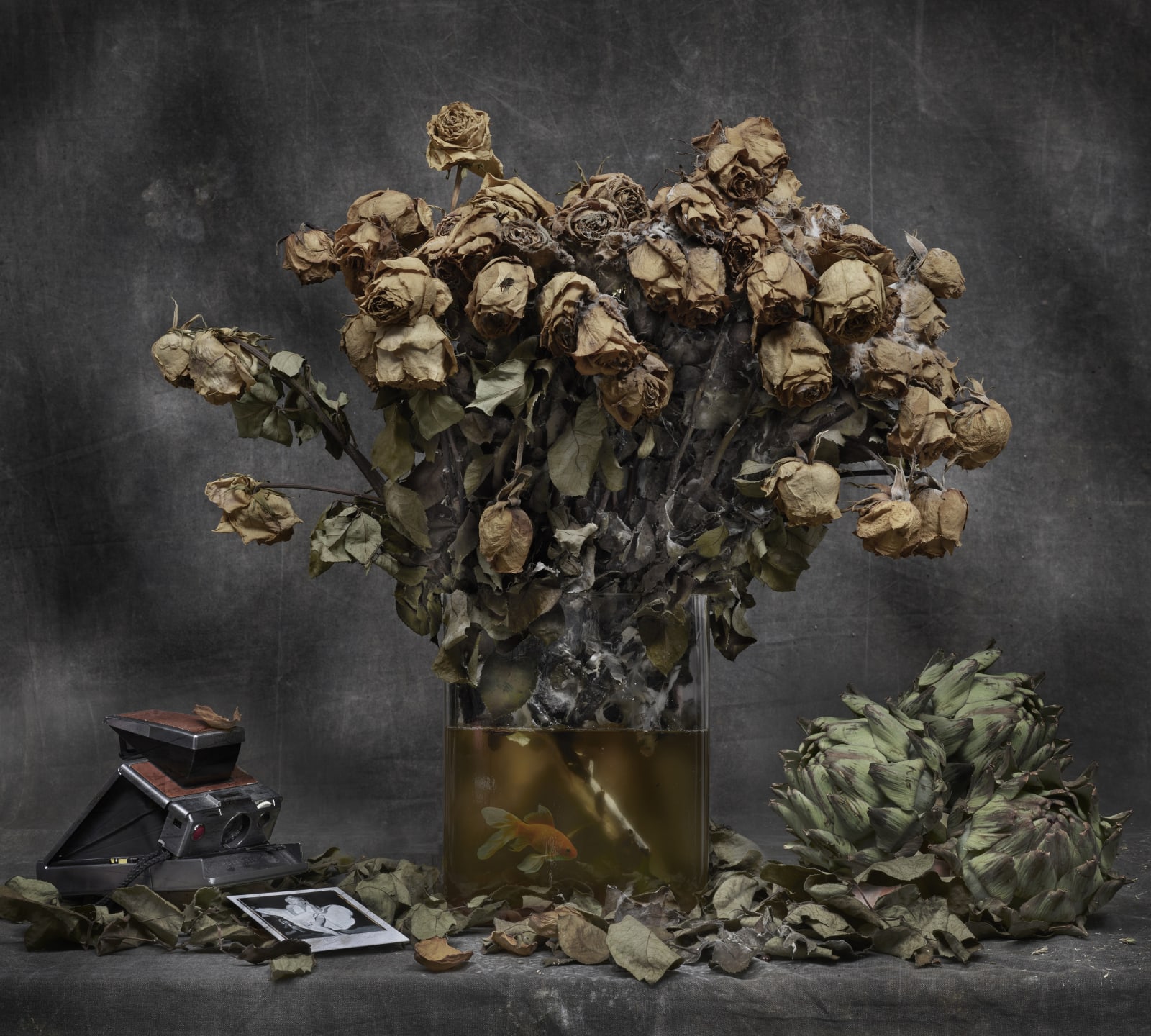 GERARD RANCINAN, Instantané, 2020